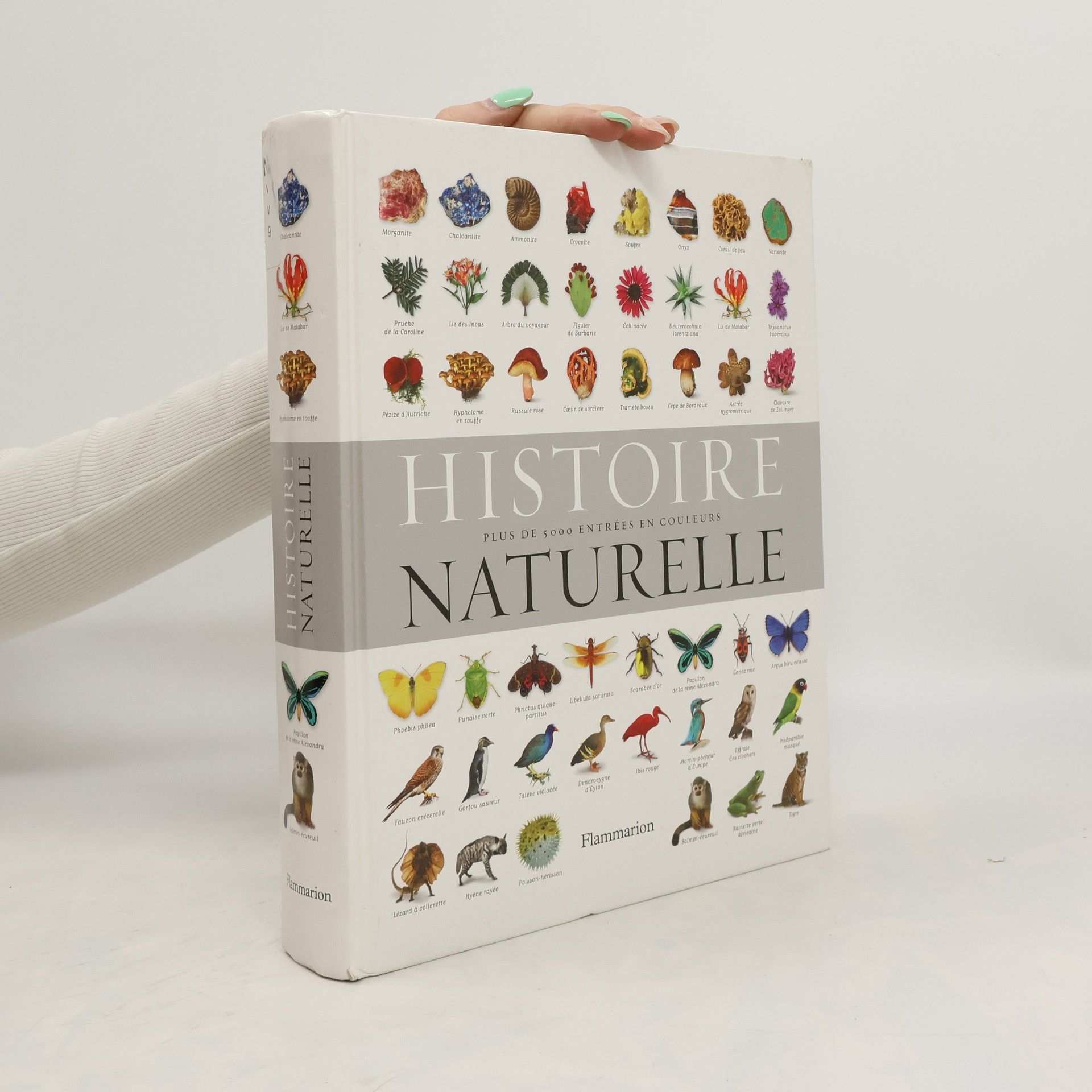 Collectif d'auteurs Histoire naturelle