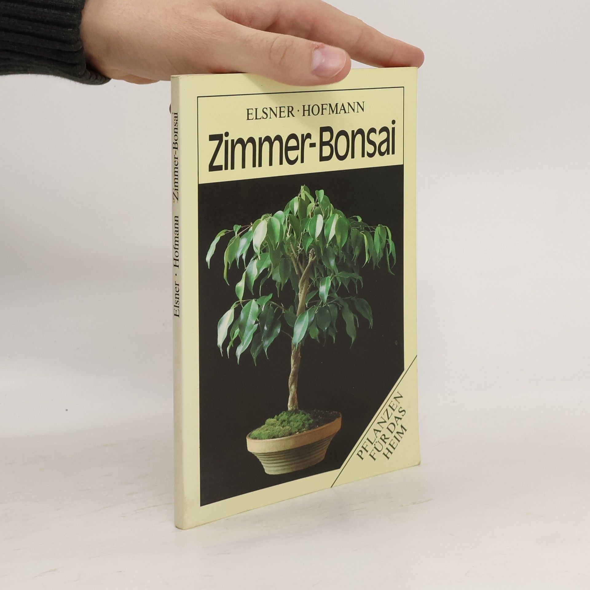 Wilhelm Elsner Zimmer-Bonsai