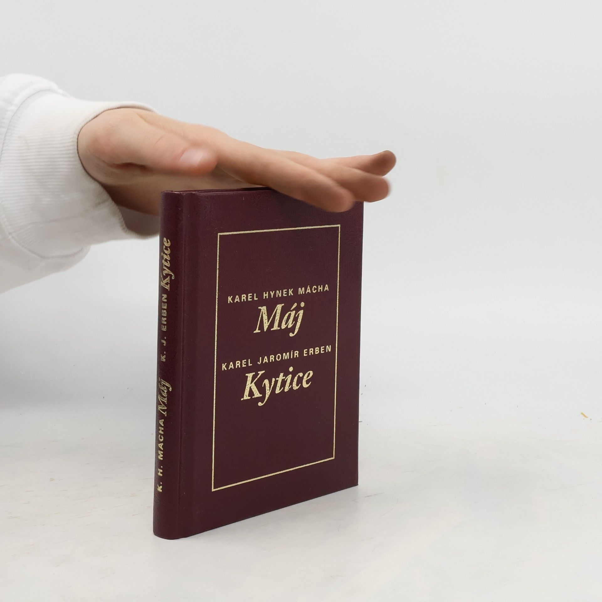 Karel Hynek Mácha To nejlepší z poezie 19. století: Máj, Kytice