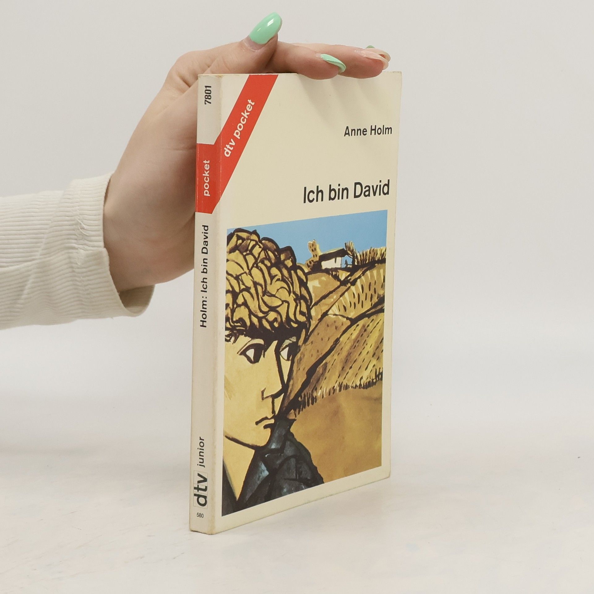 Anne Holm Ich bin David