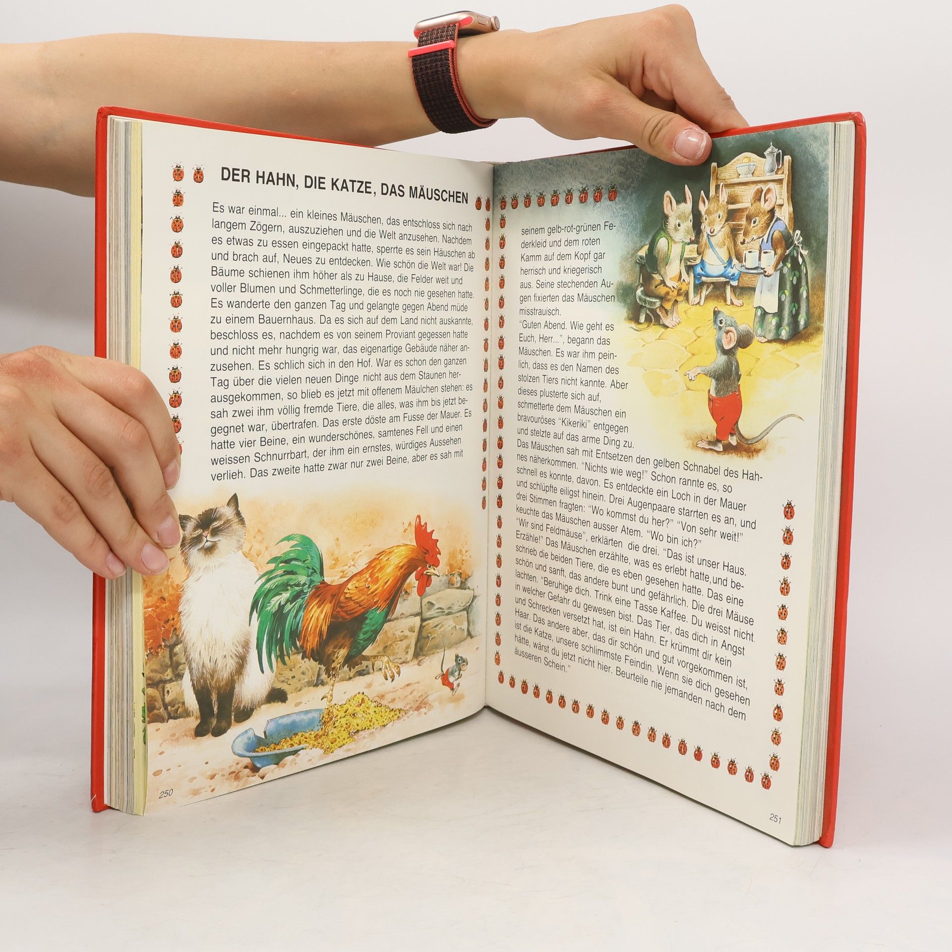 Autorenkollektiv Meine schönsten Märchen