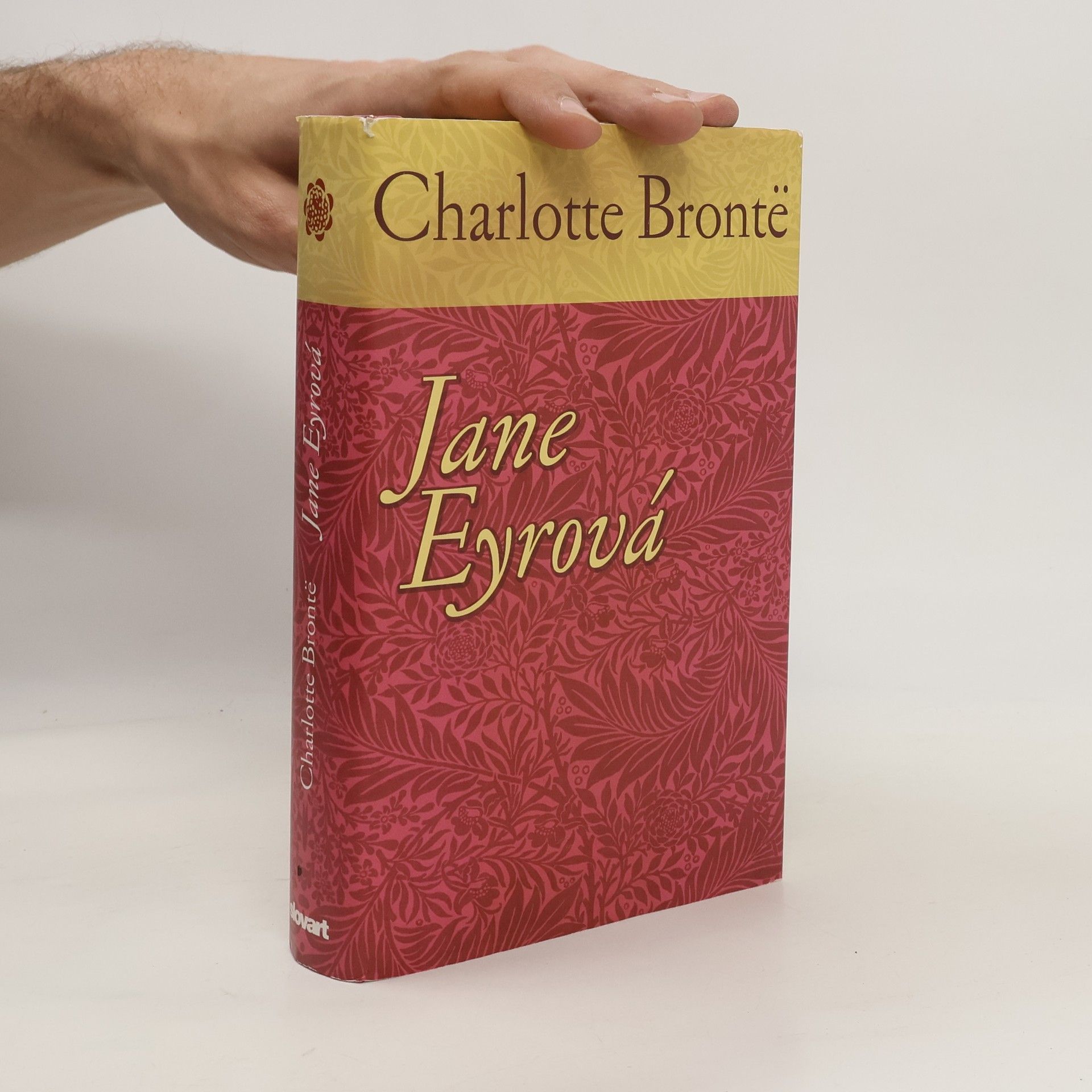 Charlotte Brontë Jane Eyrová
