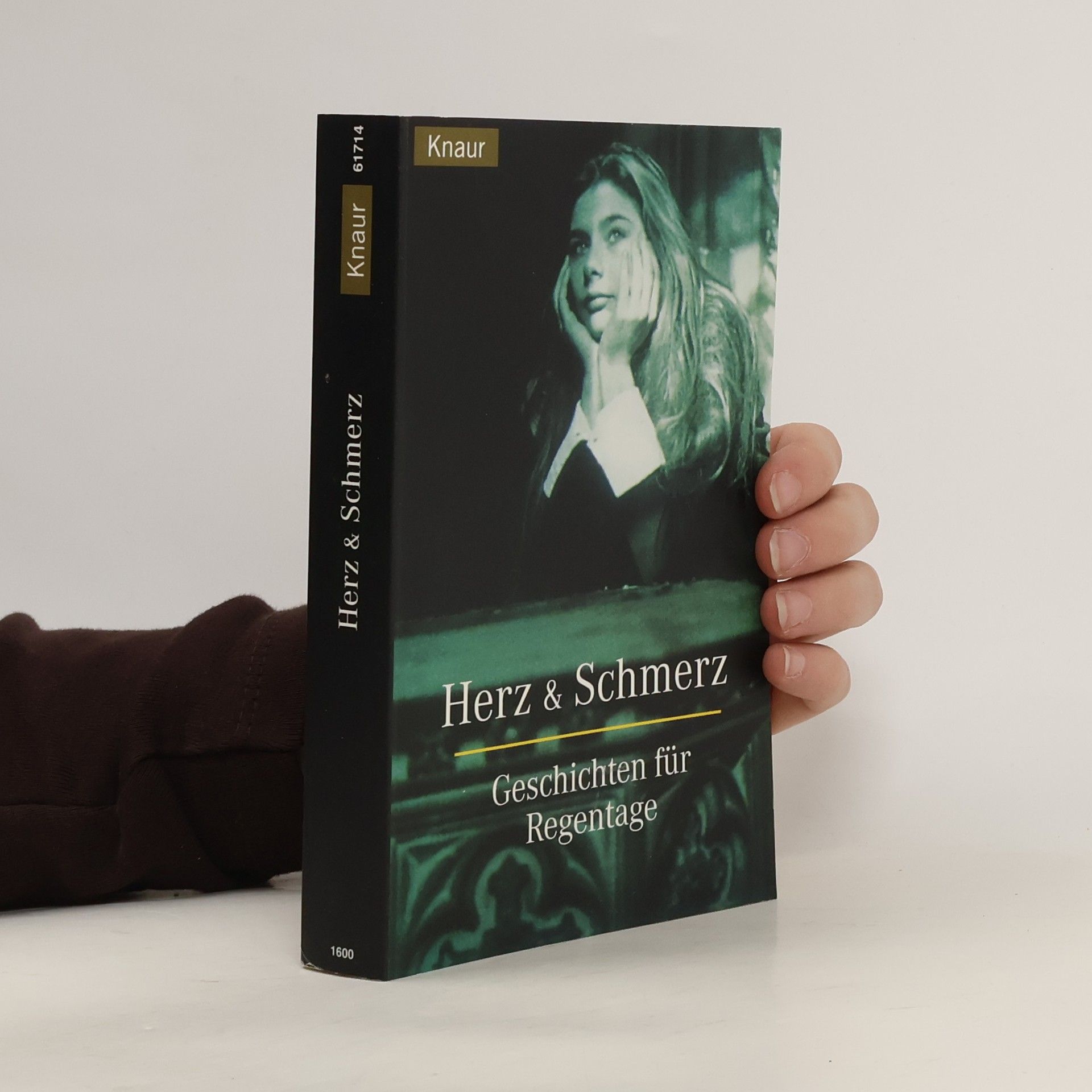 Susanne Frank Herz & Schmerz. Geschichten für Regentage