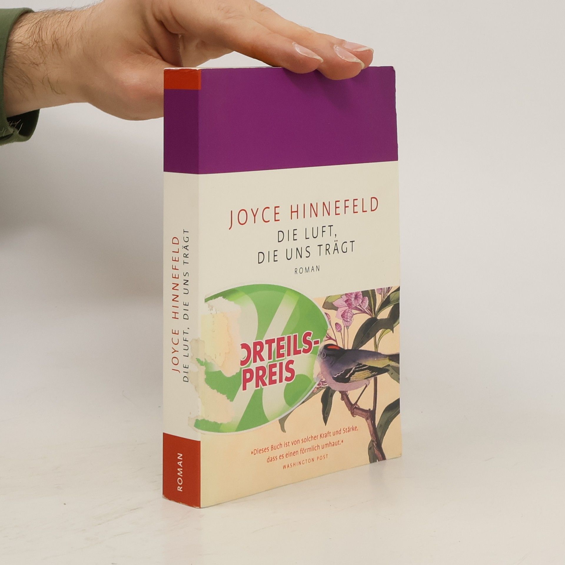 Joyce Hinnefeld Die Luft, die uns trägt