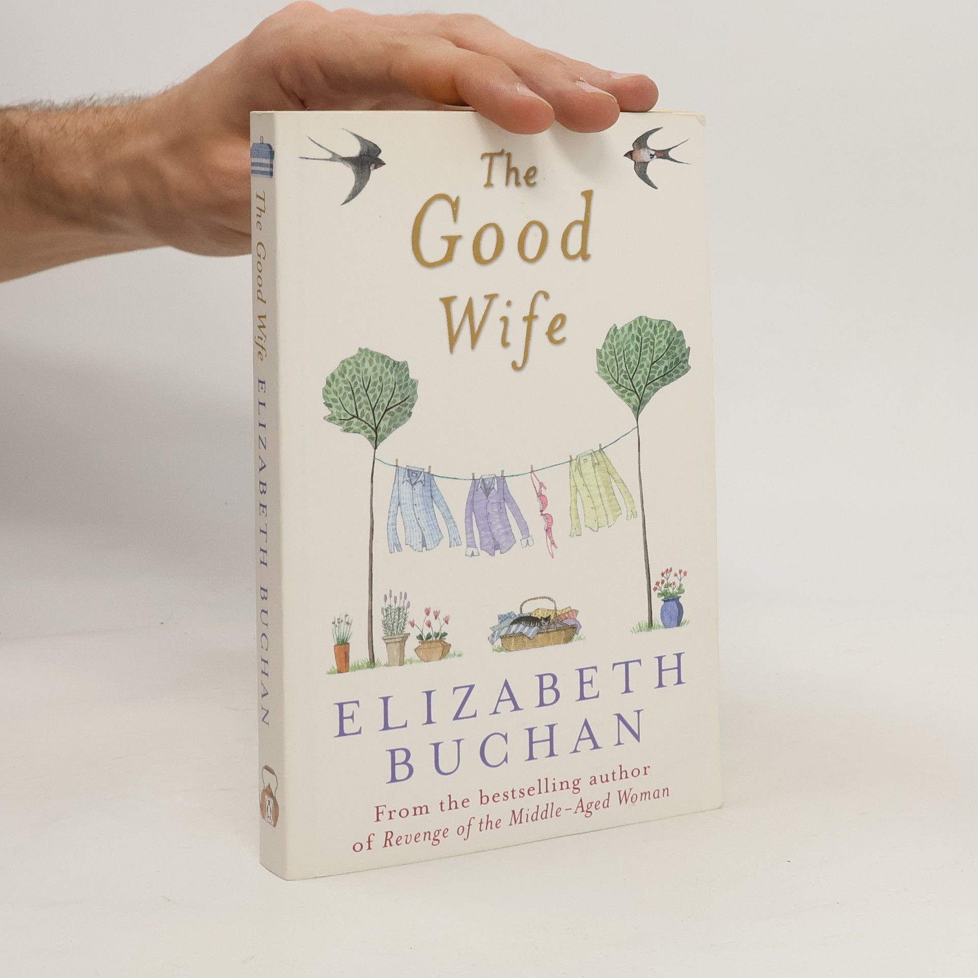 Elizabeth Buchan The Good Wife