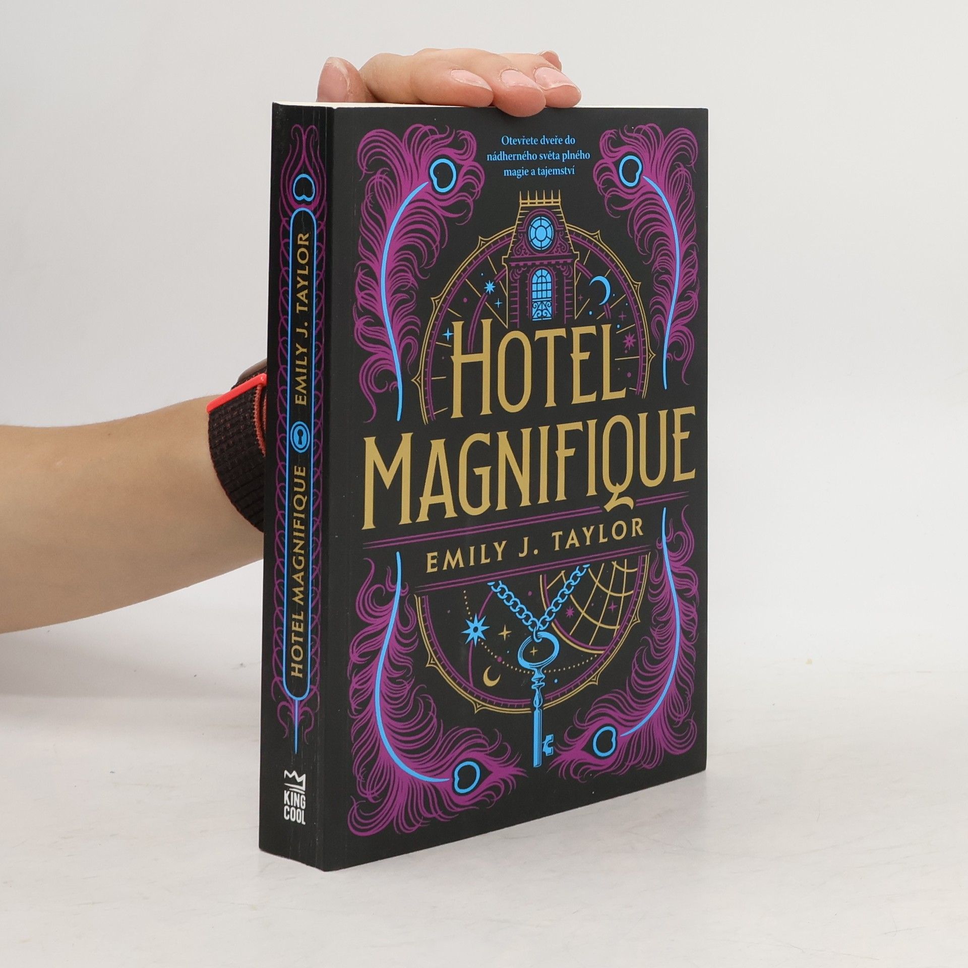 Emily J. Taylor Hotel Magnifique