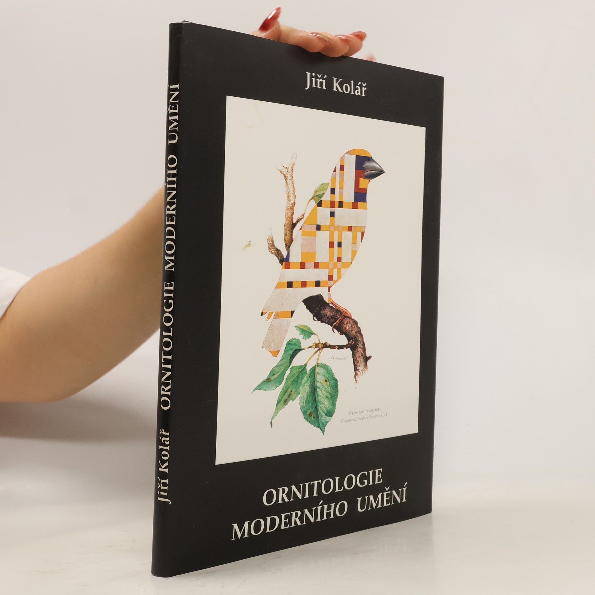 Jiří Kolář Ornitologie moderního umění. The ornitology of modern art