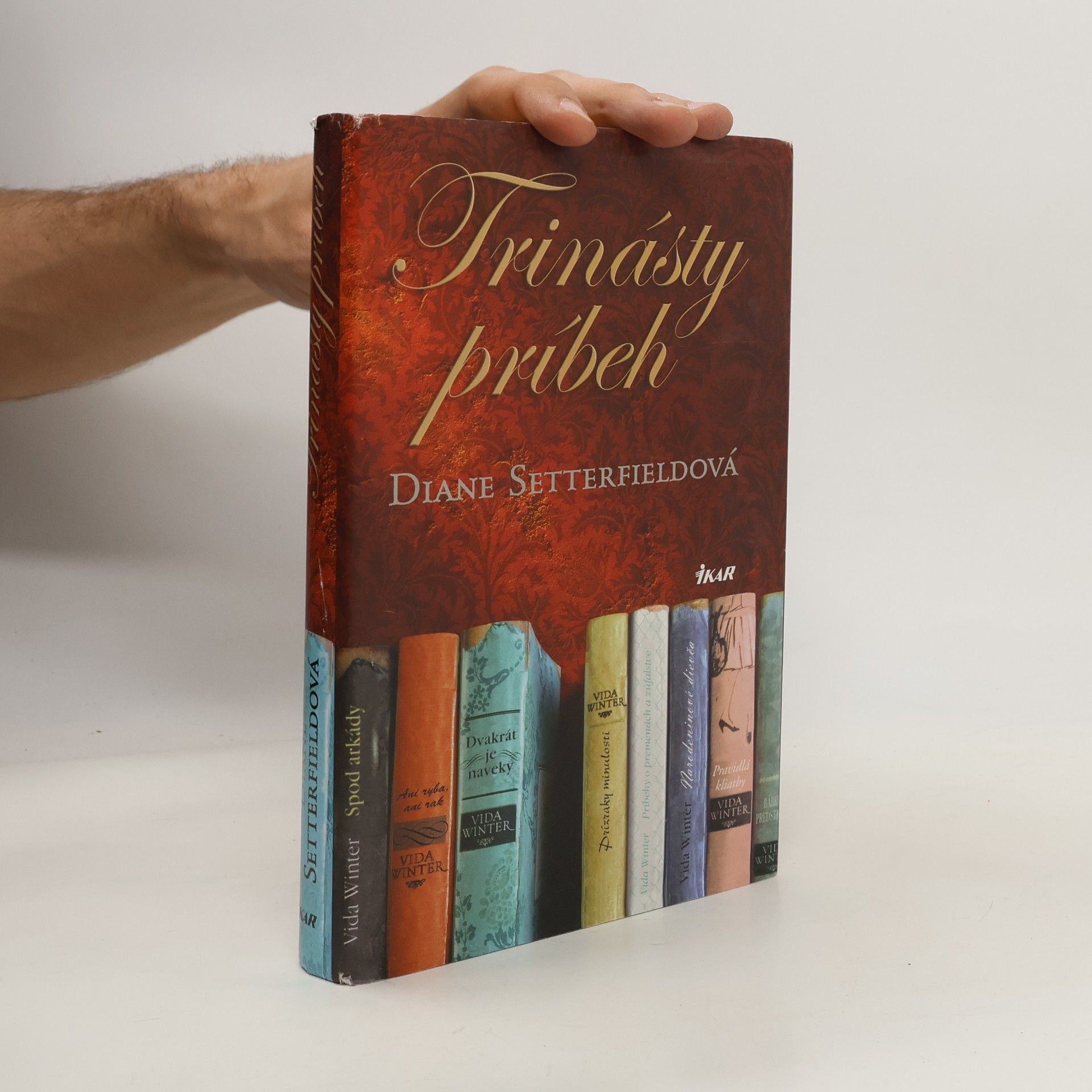 Diane Setterfield Trinásty príbeh
