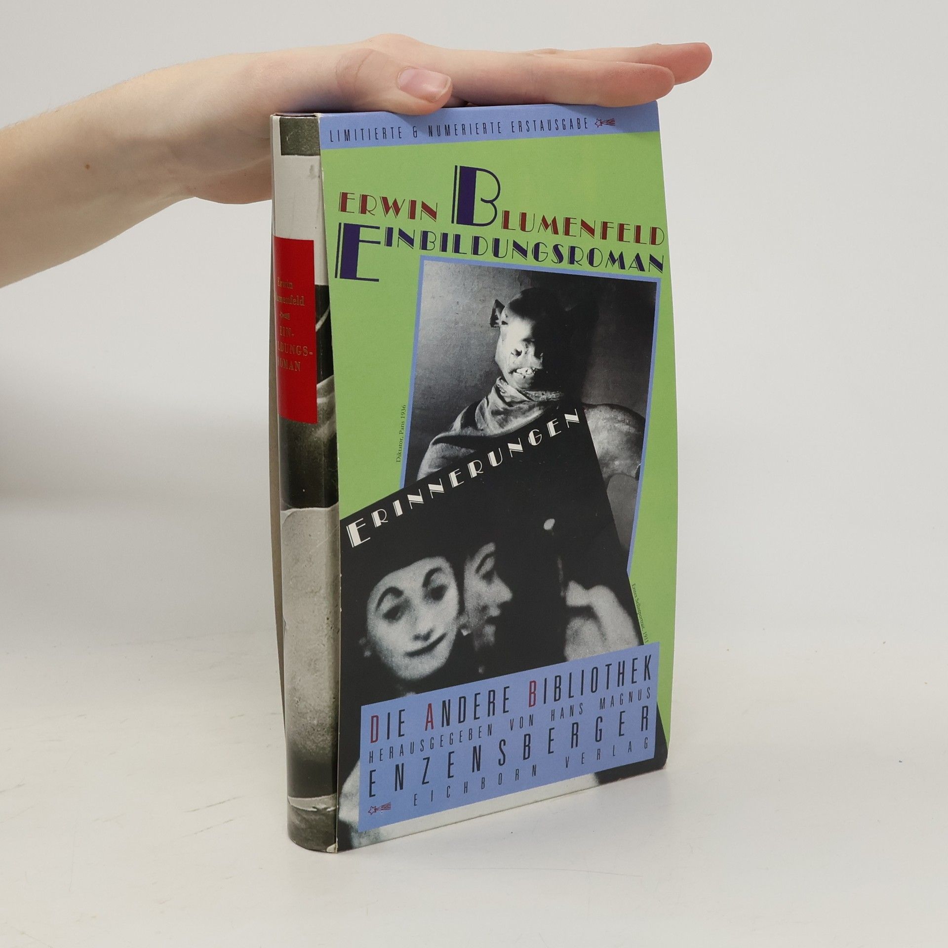 Erwin Blumenfeld Einbildungsroman