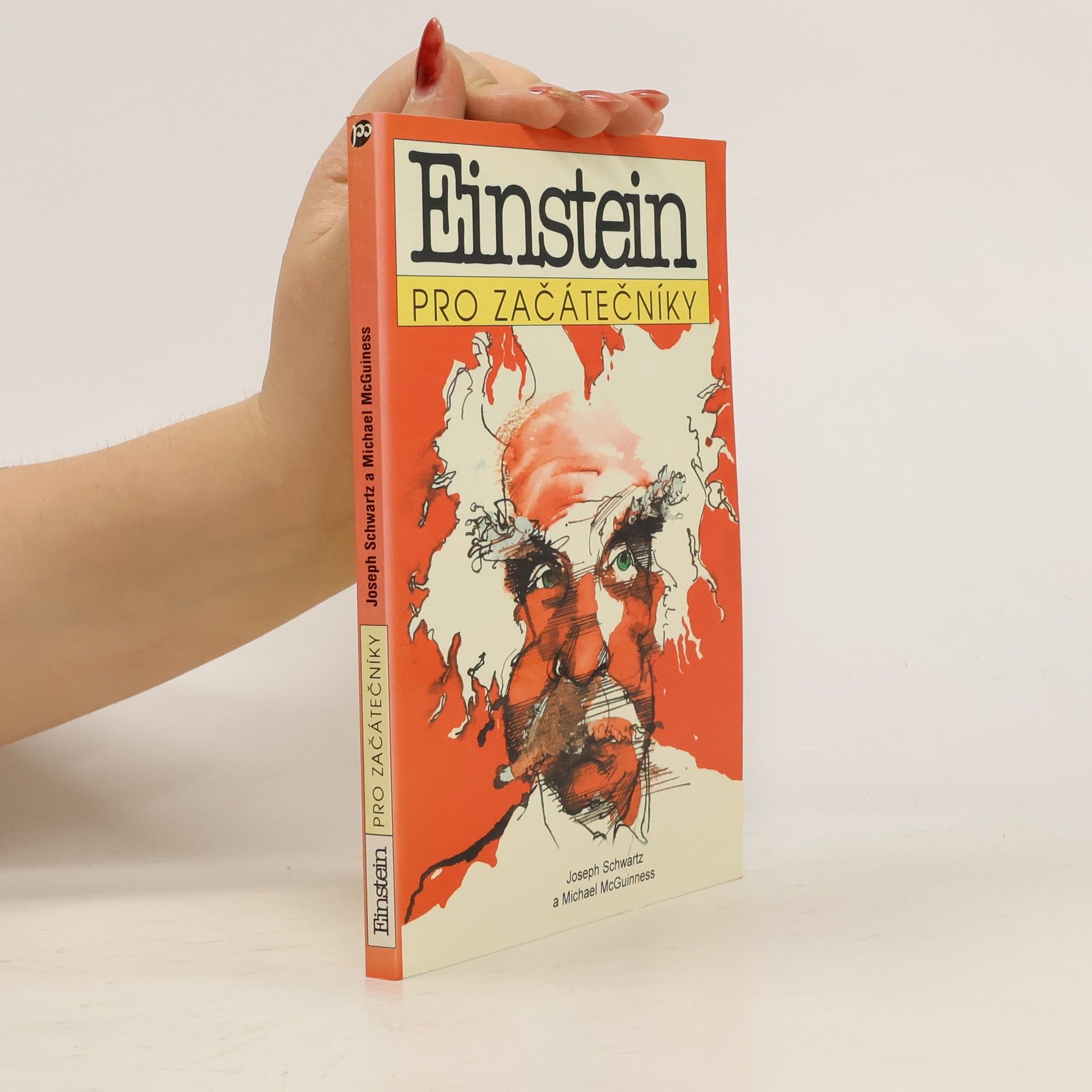 Joseph Schwartz Einstein pro začátečníky