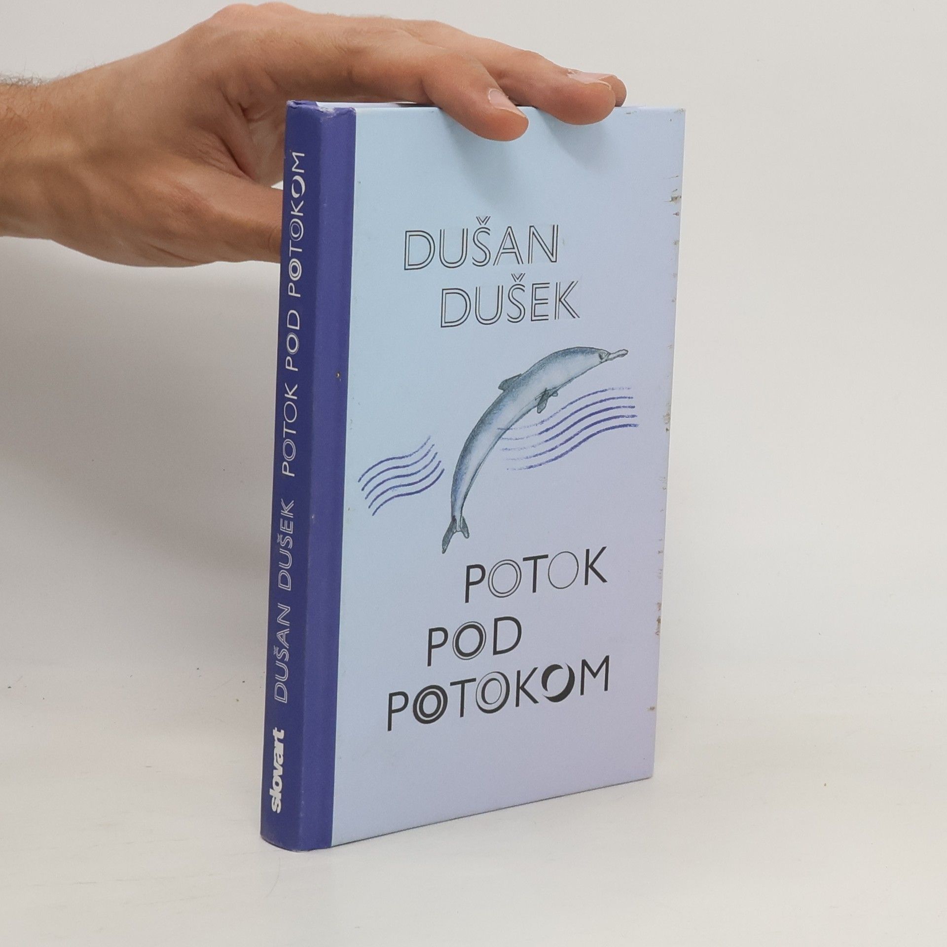 Dušan Dušek Potok pod potokom