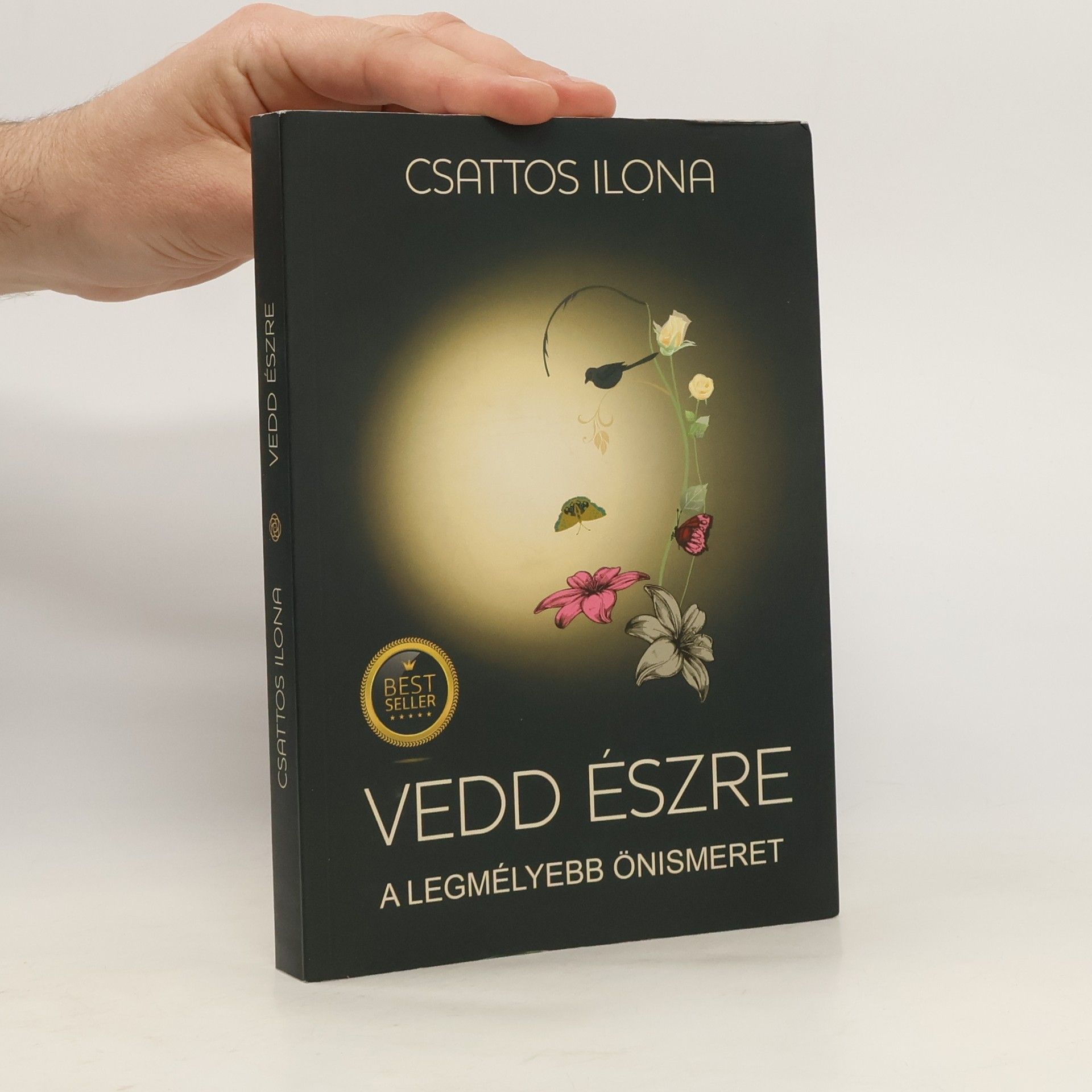 Csattos Ilona Vedd észre