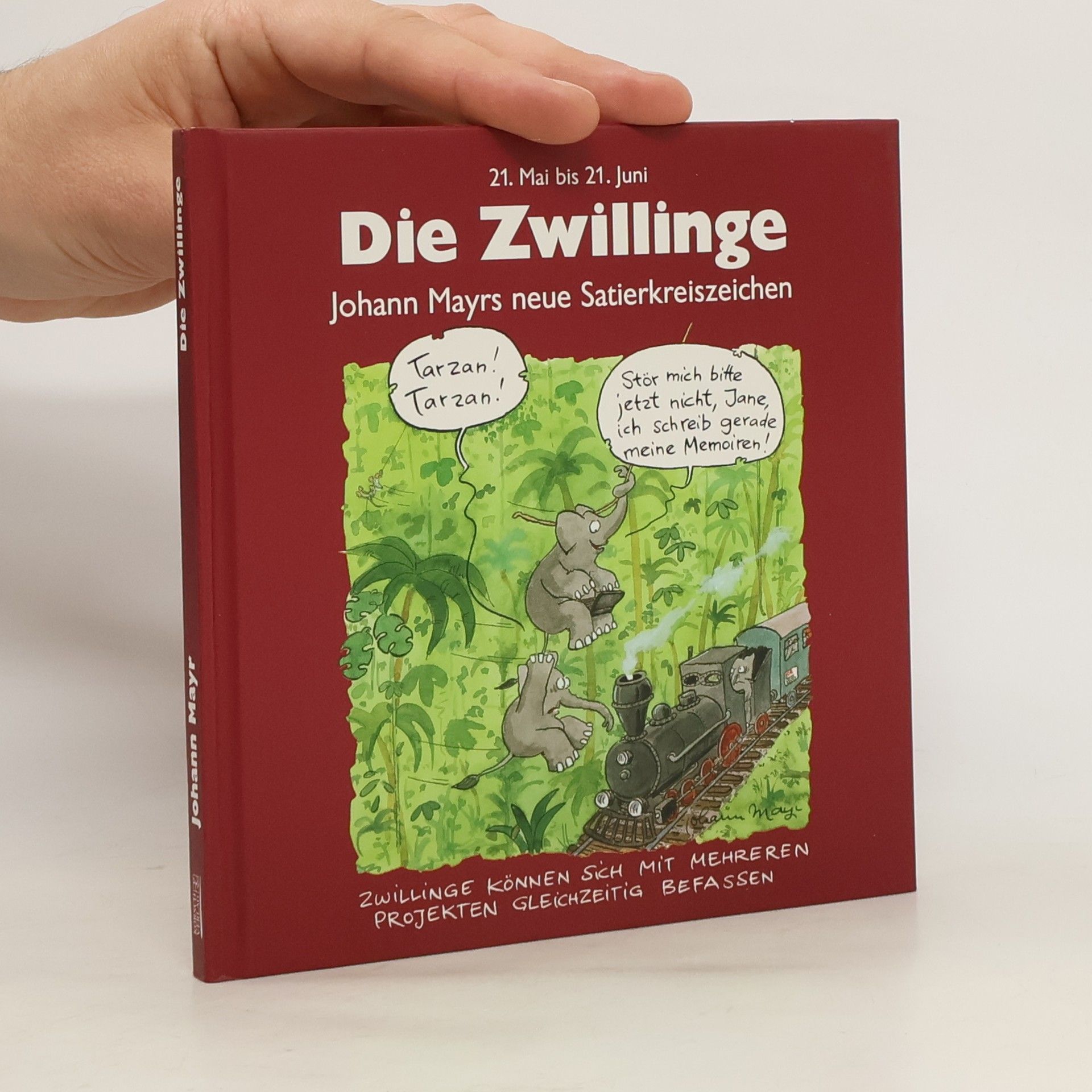 Johann Mayr Die Zwillinge