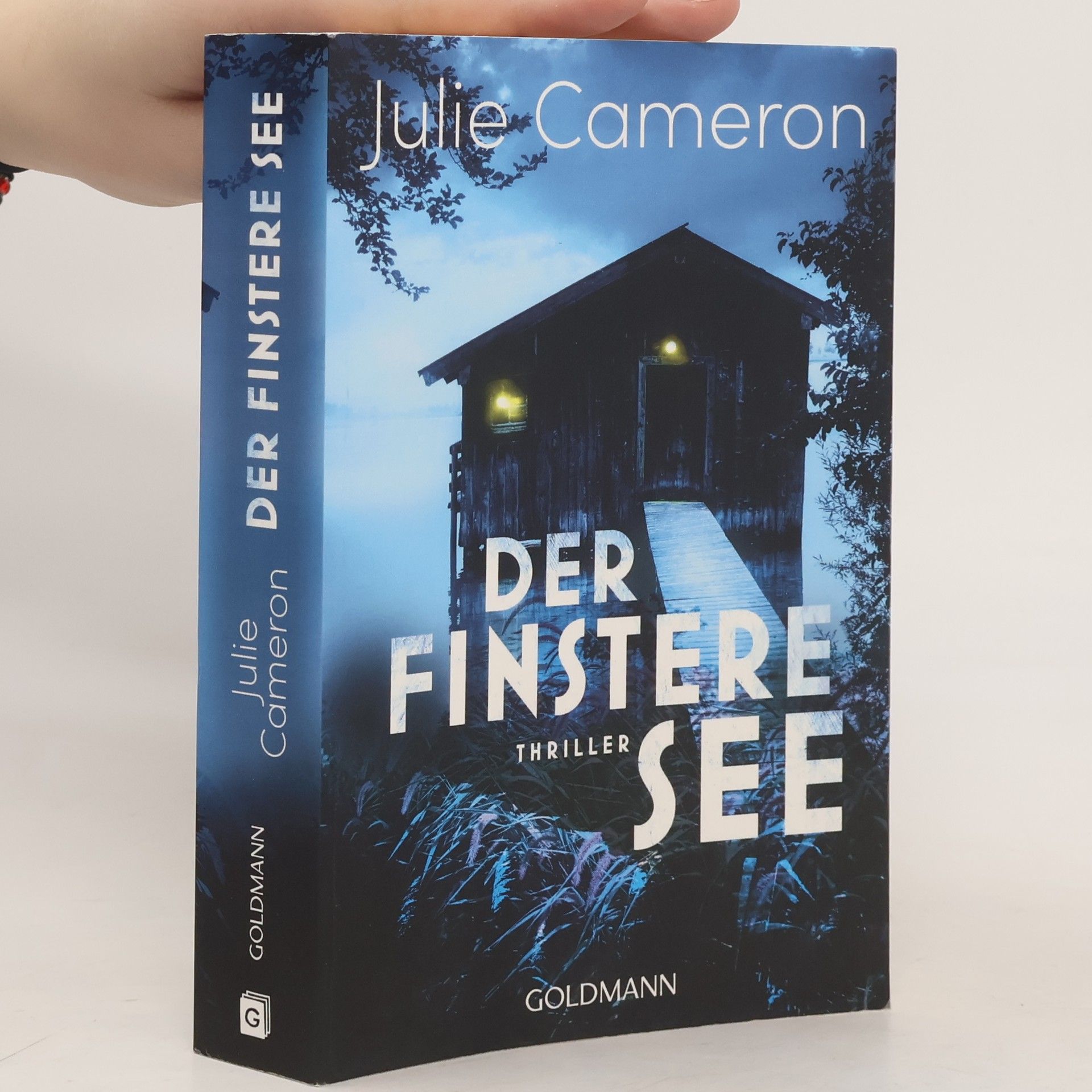 Julie Cameron Der finstere See