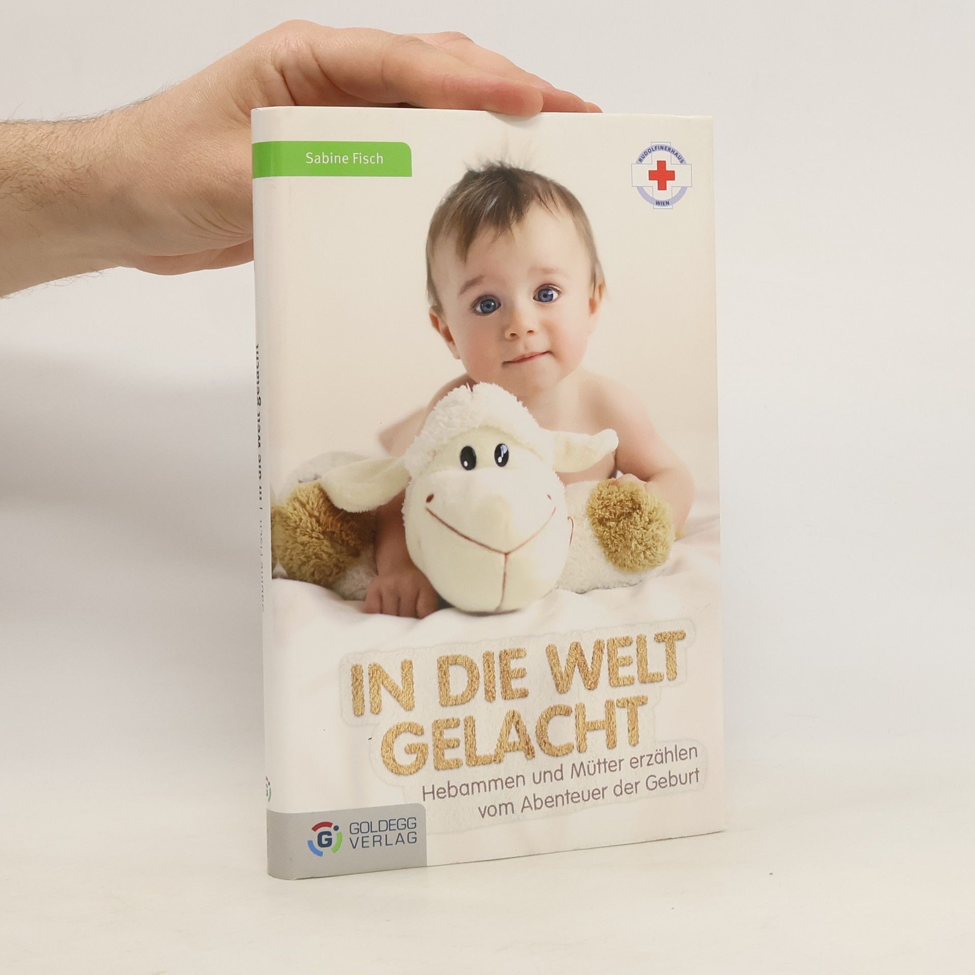 Sabine Fisch In die Welt gelacht