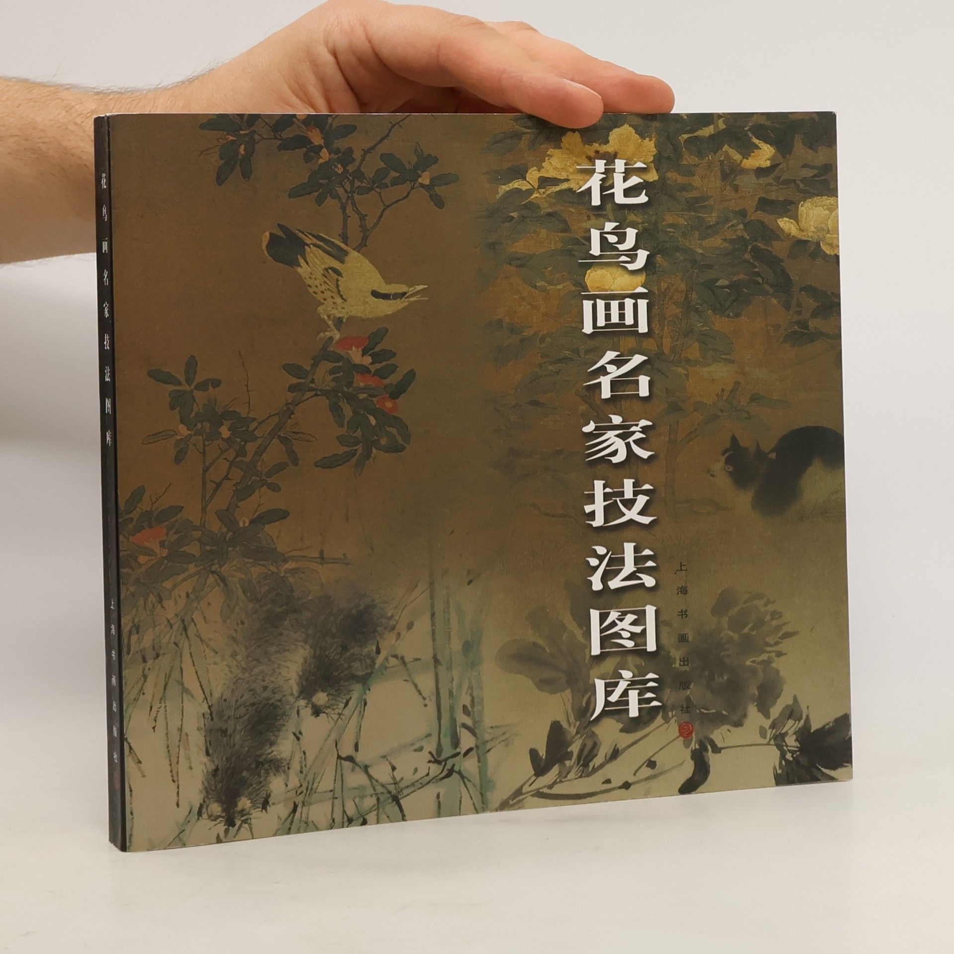kolektiv 花鸟画名家技法图库