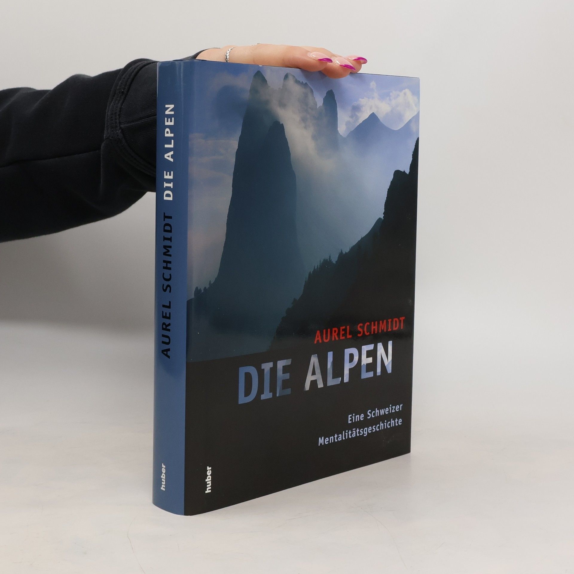 Aurel Schmidt Die Alpen