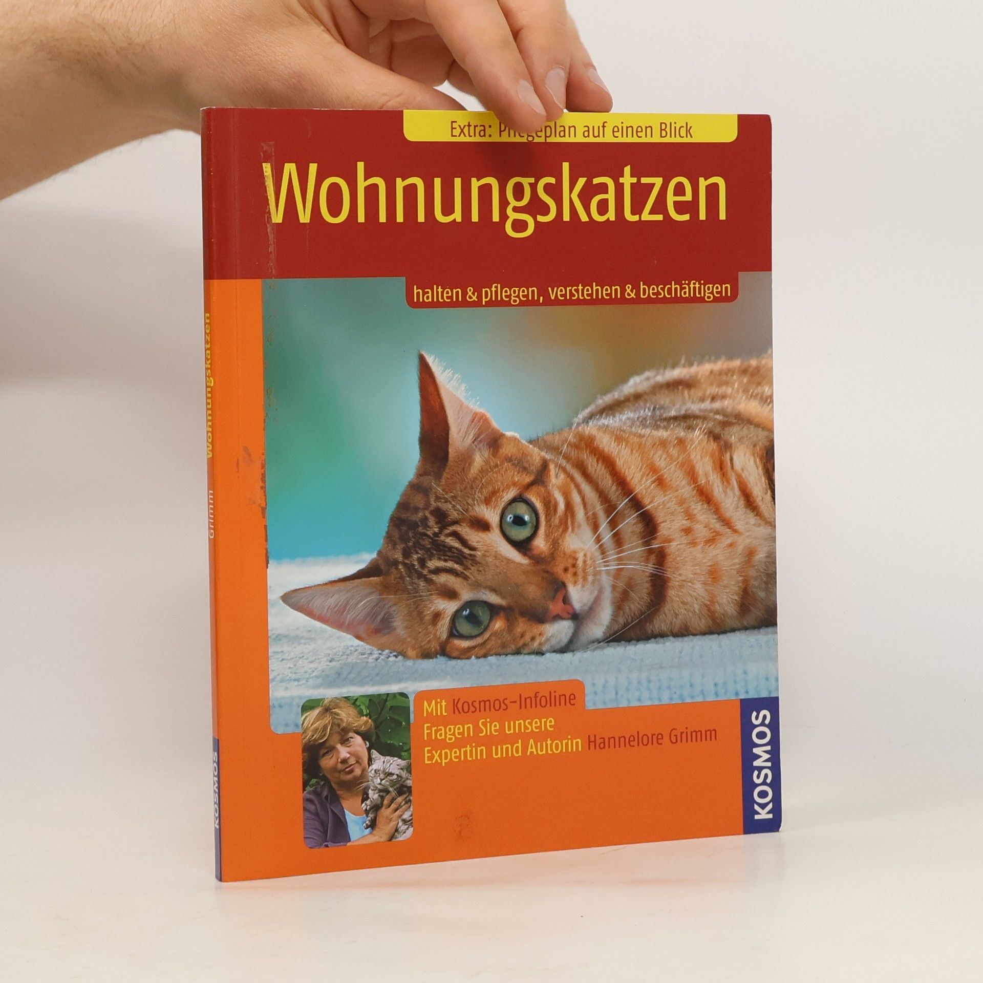 Hannelore Grimm Wohnungskatzen