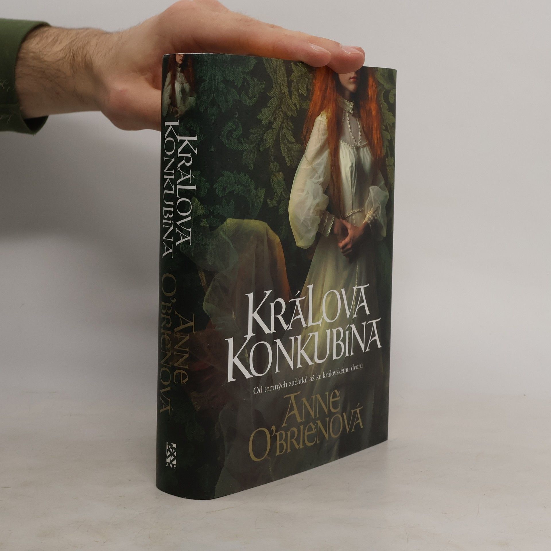 Anne O. Brien Králova konkubína