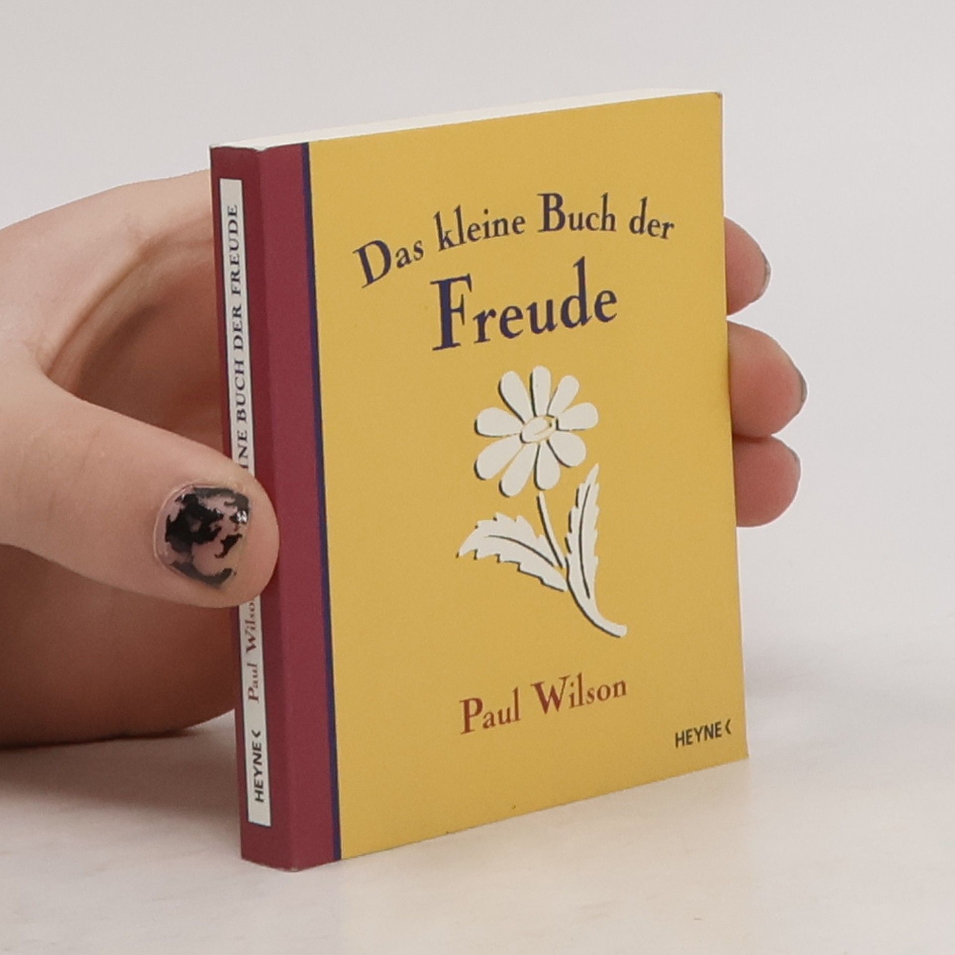 Paul Wilson Das kleine Buch der Freude