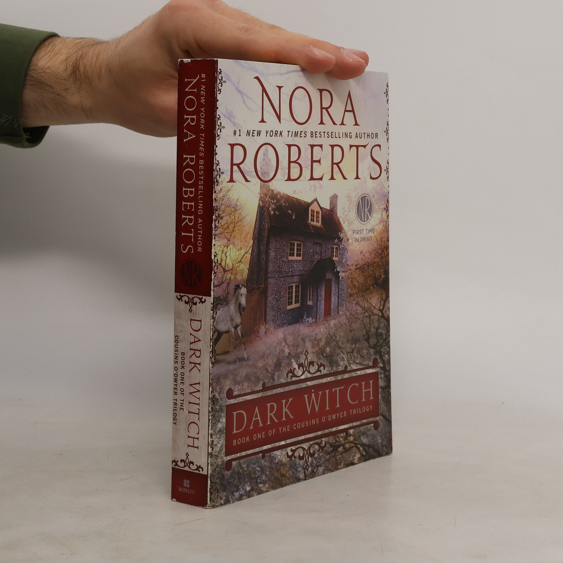 Nora Roberts Dark Witch
