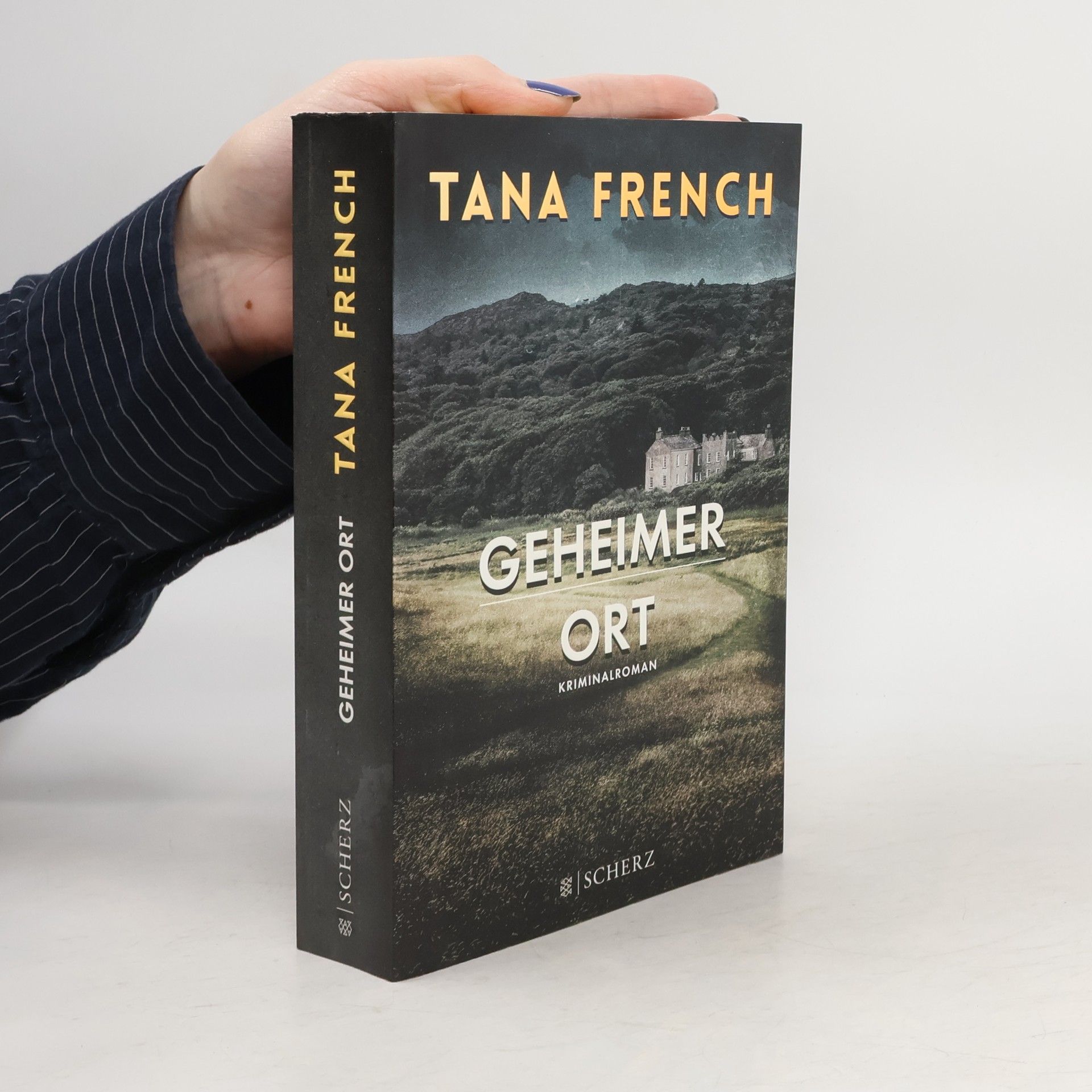 Tana French Geheimer Ort