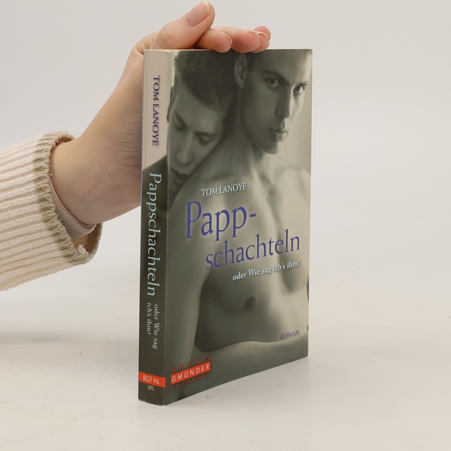 Tom Lanoye Pappschachteln oder wie sag ich's ihm?
