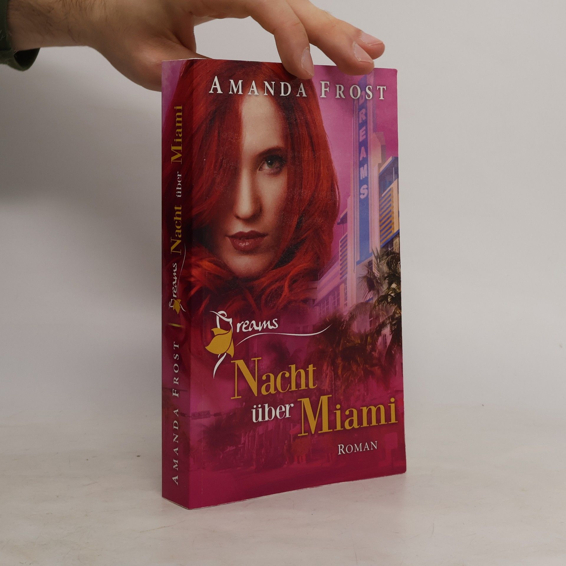 Amanda Frost Dreams - Nacht über Miami