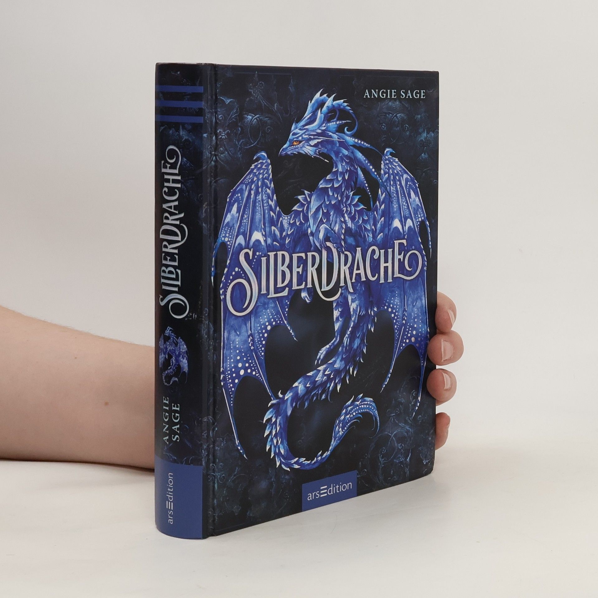 Angie Sage Silberdrache