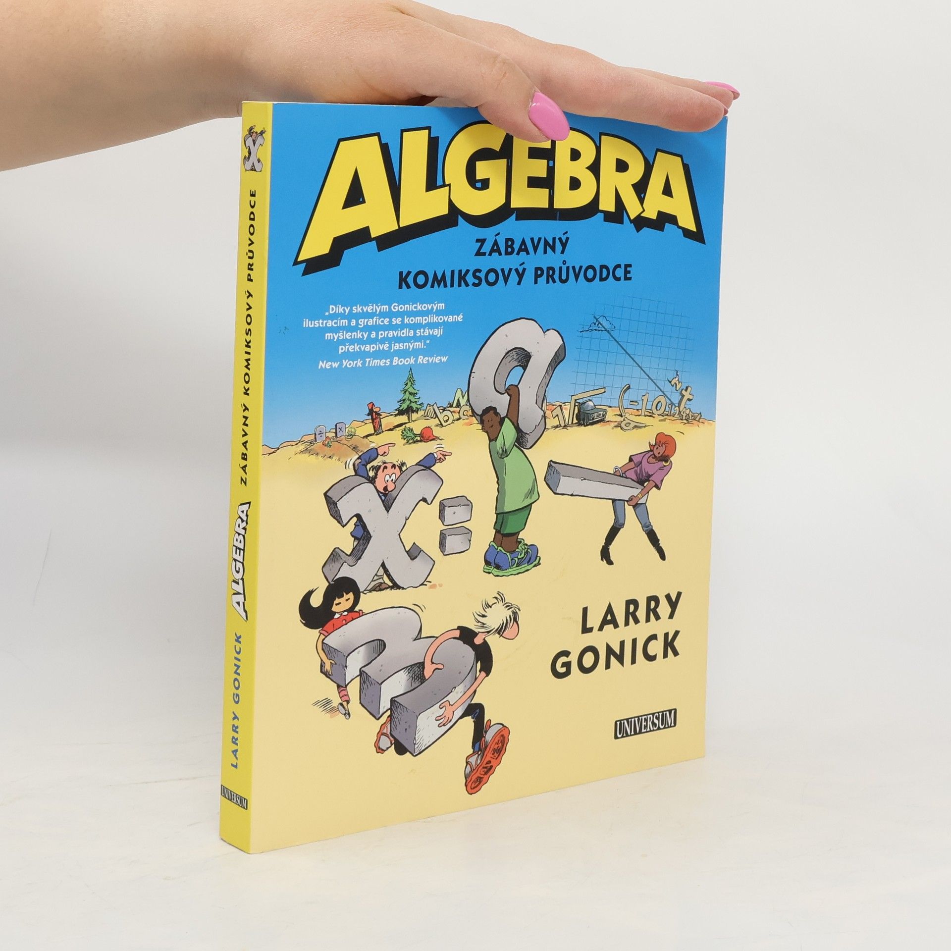 Larry Gonick Algebra. Zábavný komiksový průvodce