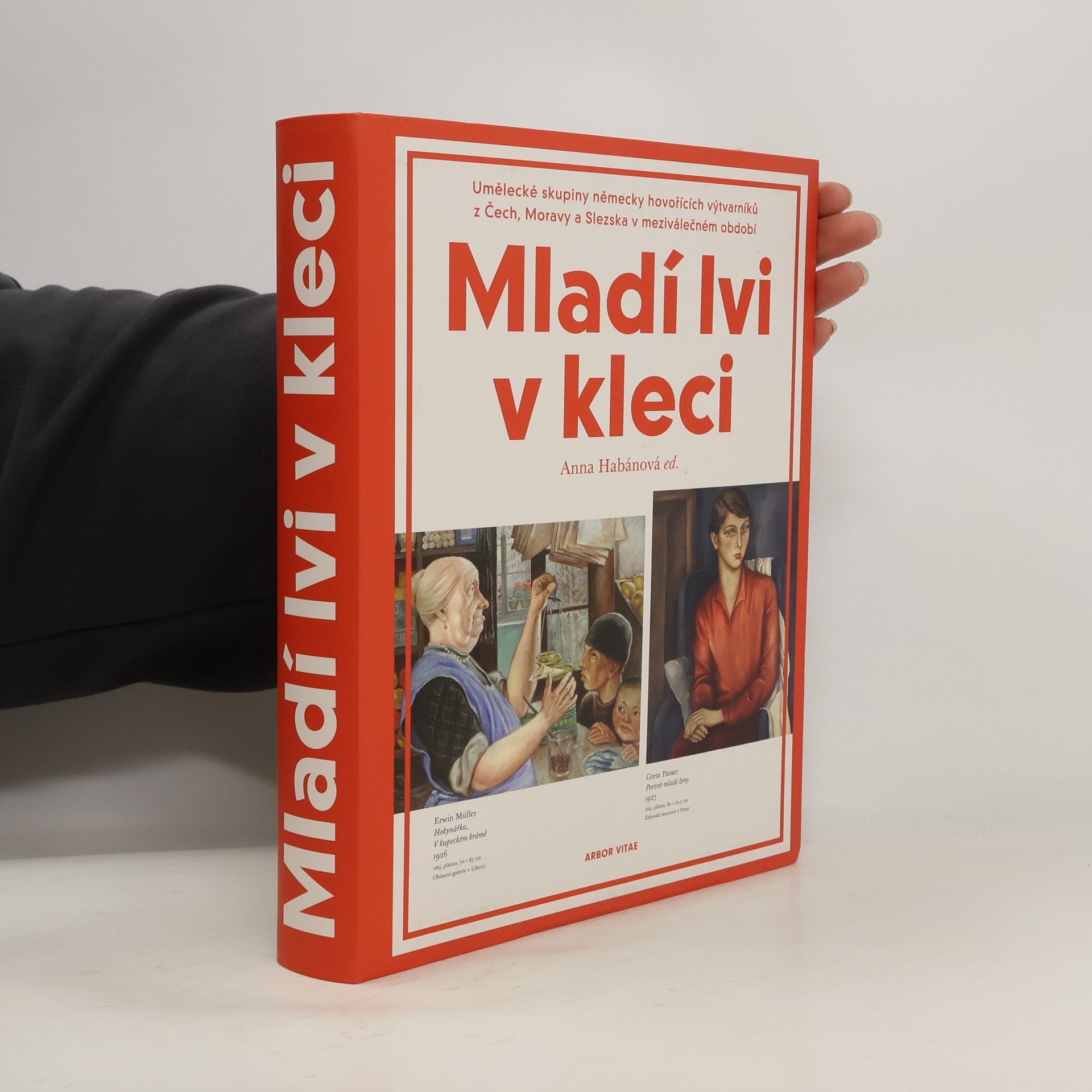 Jan Brodský Mladí lvi v kleci