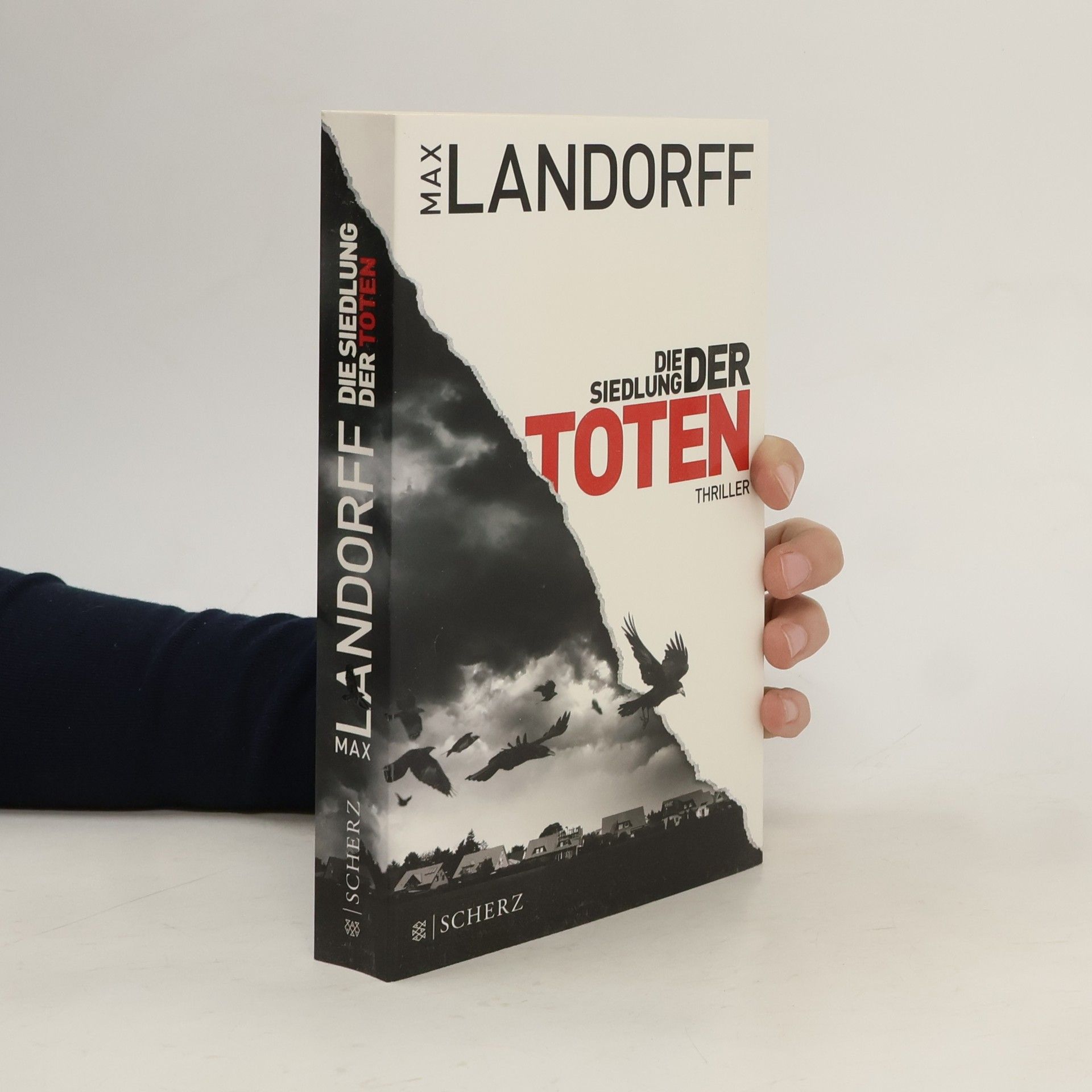 Max Landorff Die Siedlung der Toten