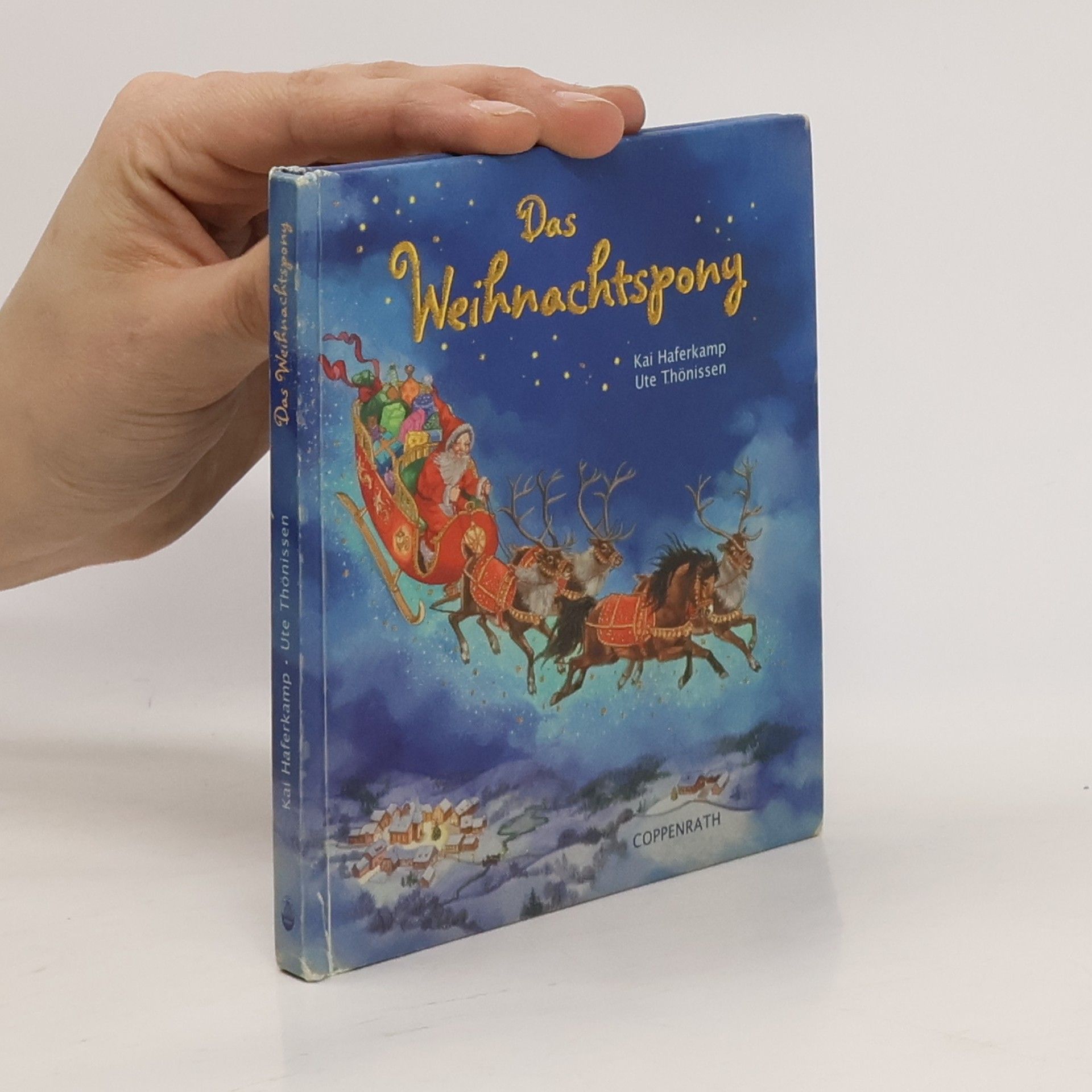Kai Haferkamp Das Weihnachtspony