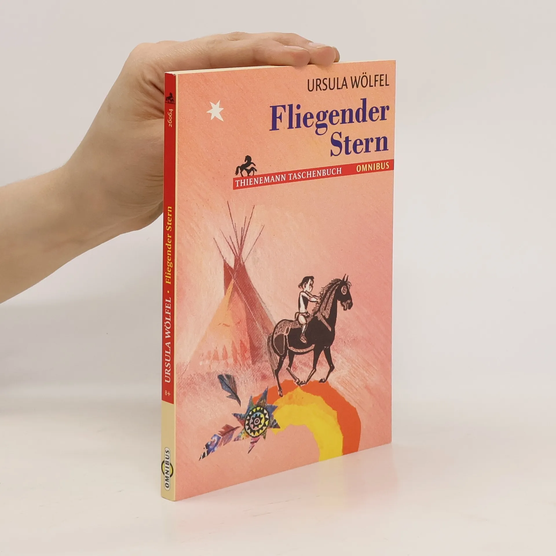 Fliegender Stern | Book | Ursula Wölfel | DE