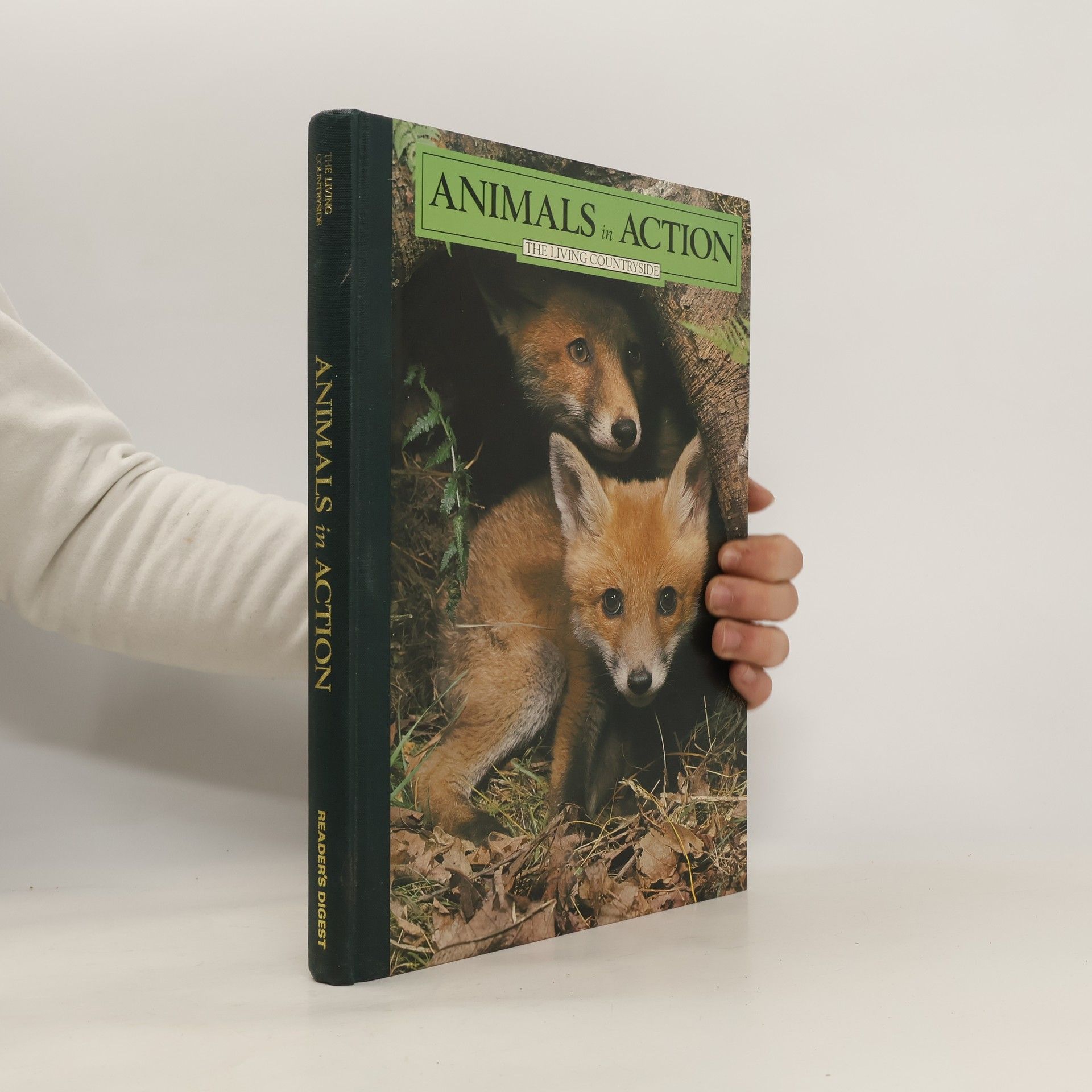 AA.VV. Animals in Action