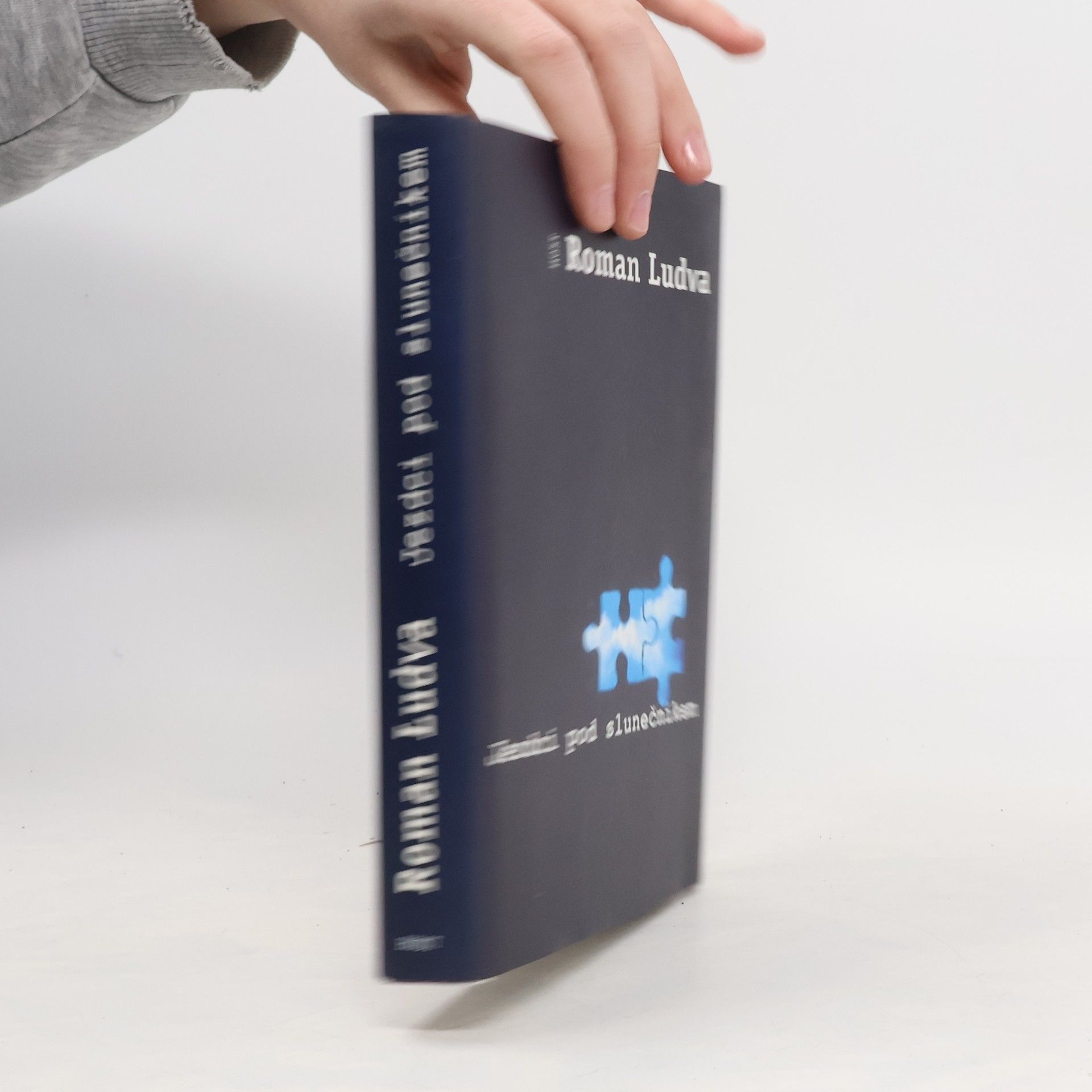 Roman Ludva Jezdci pod slunečníkem