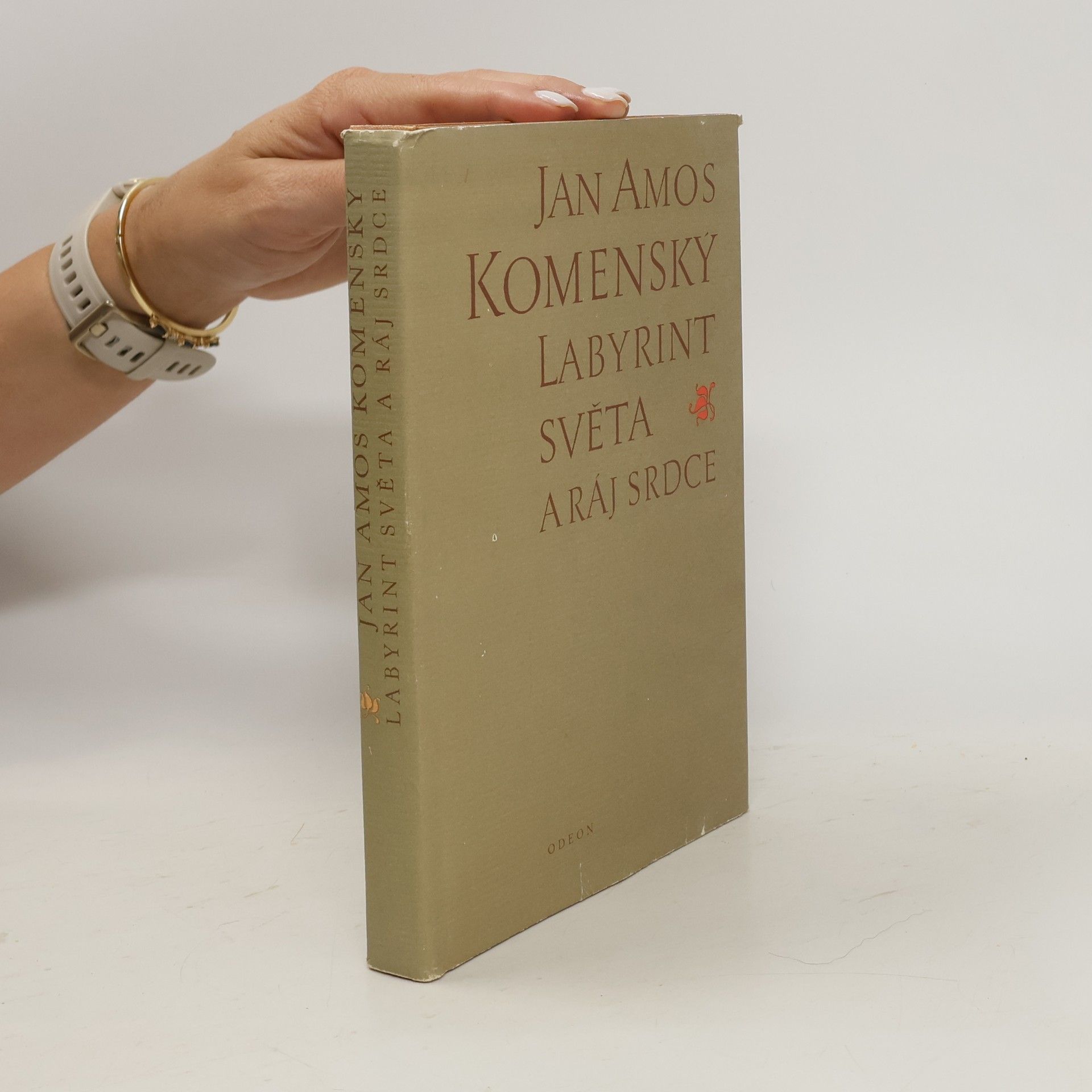 Jan Amos Komenský Labyrint světa a ráj srdce