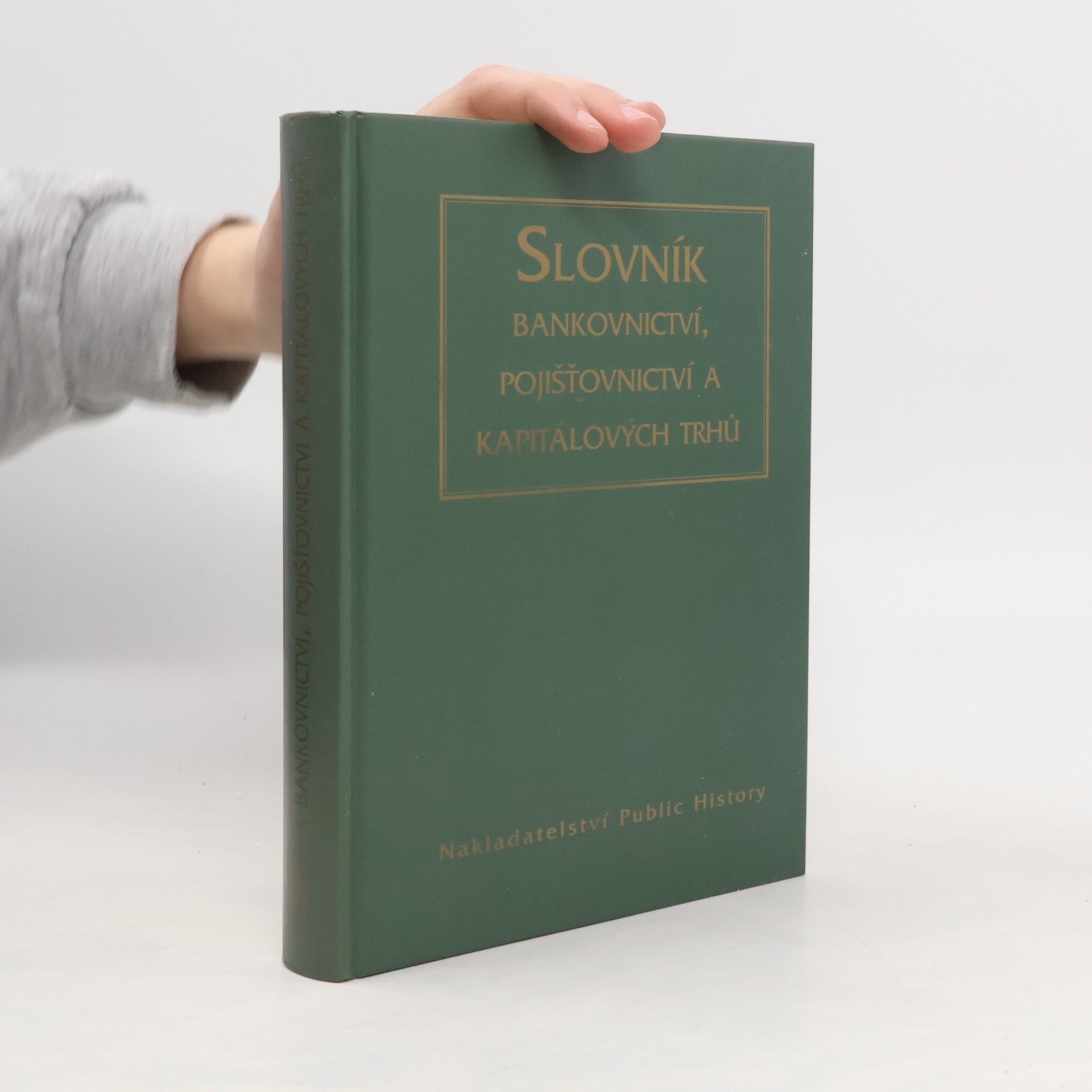 Václav Budinský Slovník bankovnictví, pojišťovnictví a kapitálových trhů