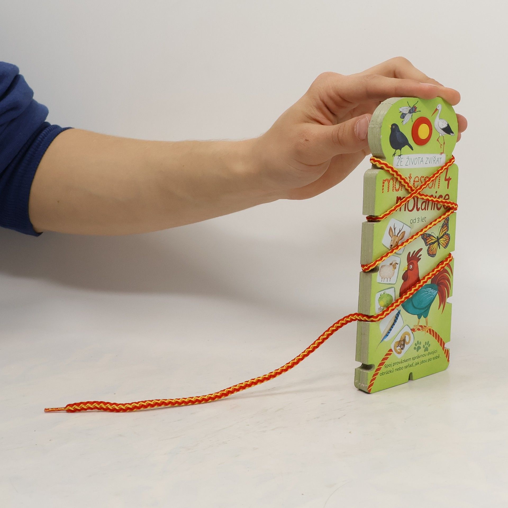 AA.VV. Montessori motanice 4: Ze života zvířat