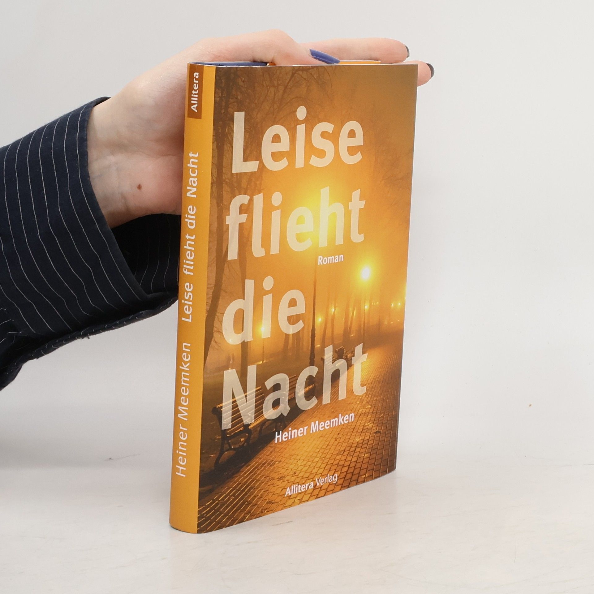 Heiner Meemken Leise flieht die Nacht