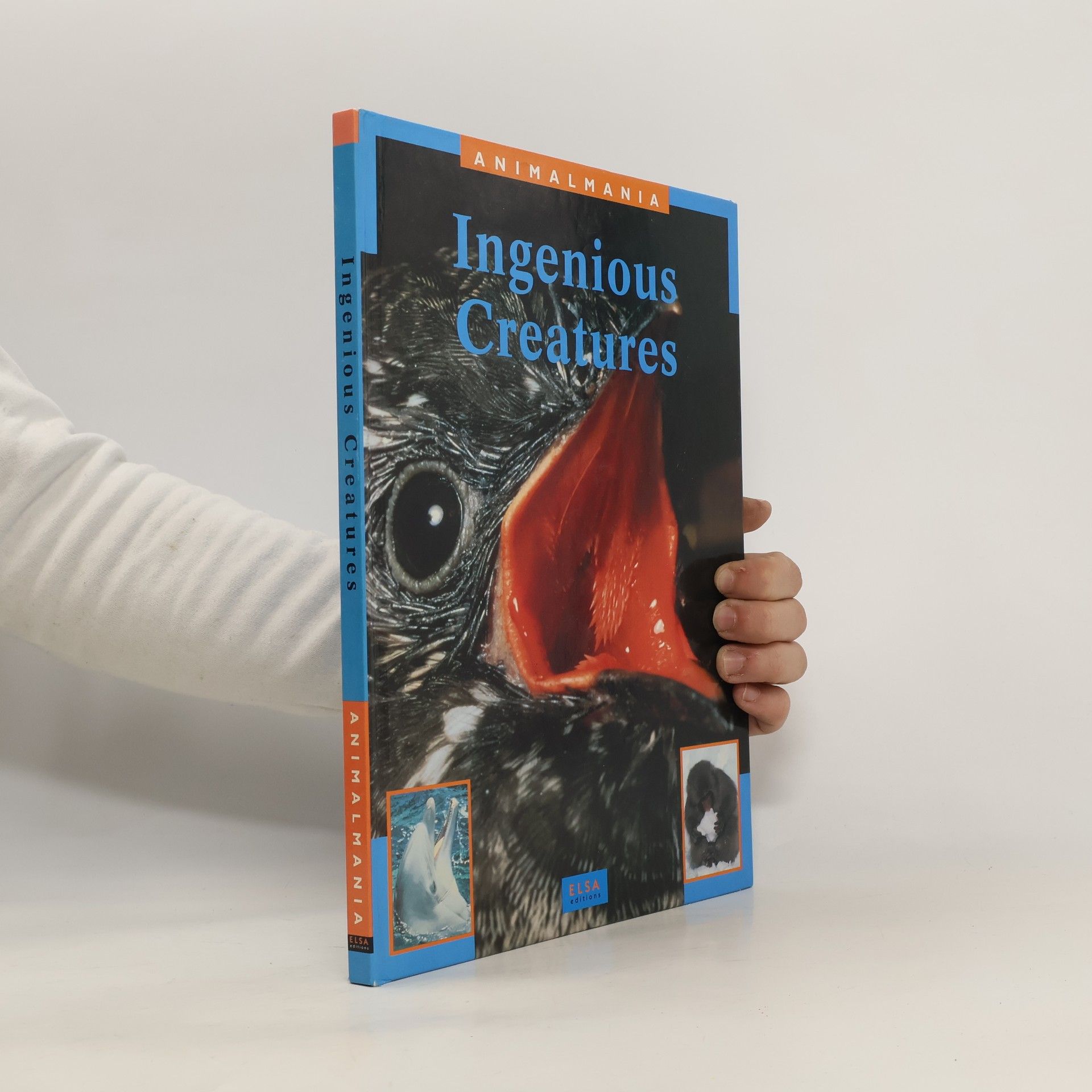 Franz Rey Ingenious Creatures