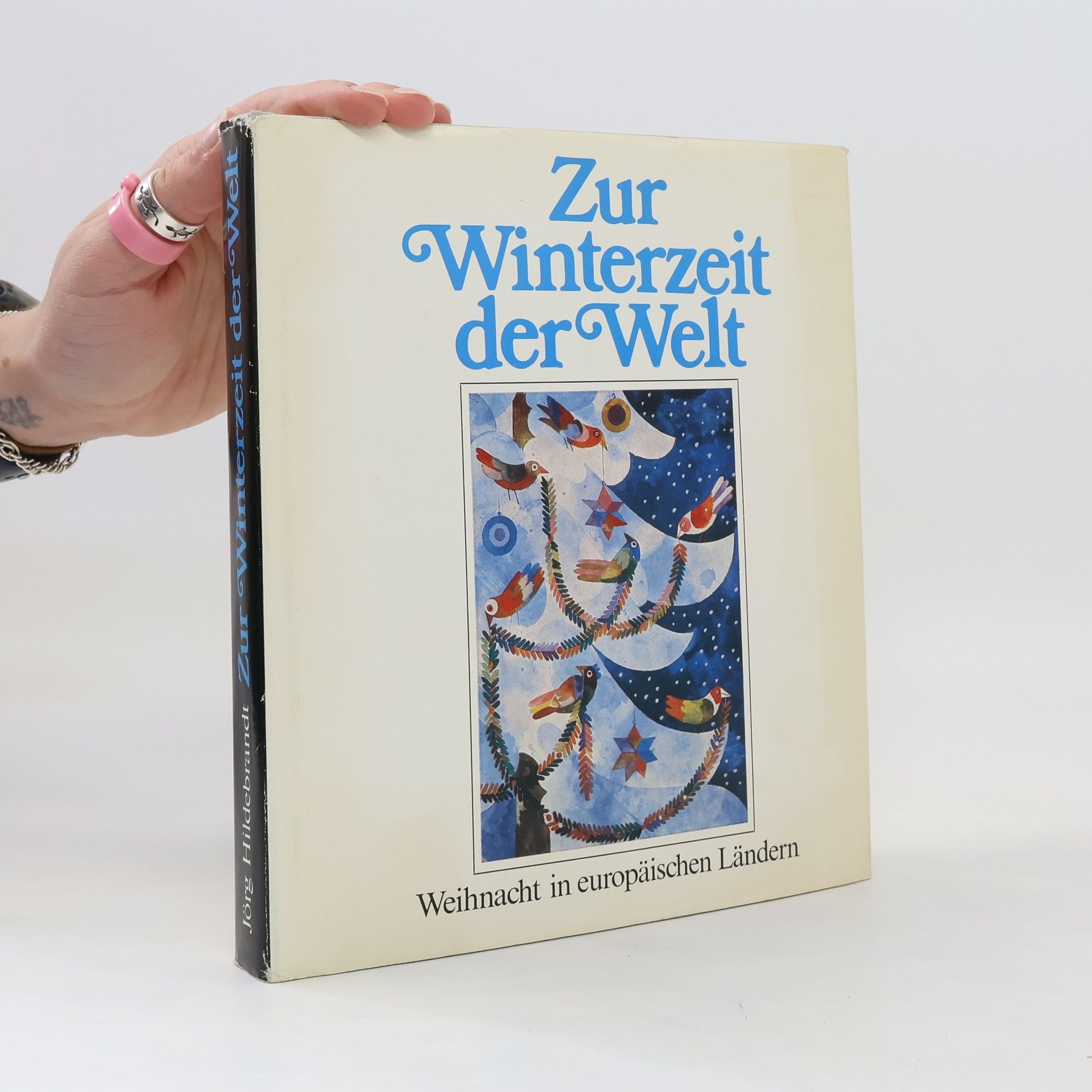 Jörg Hildebrandt Zur Winterzeit der Welt
