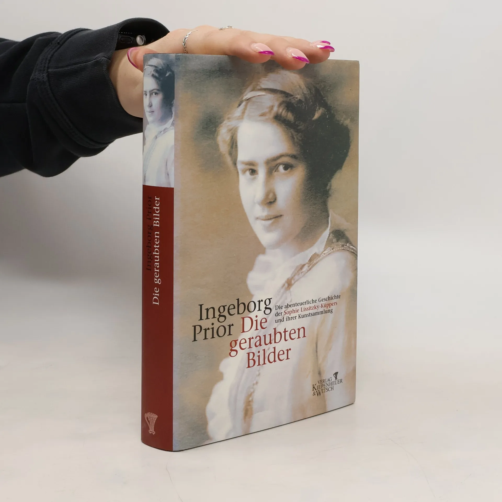 Die geraubten Bilder | Buch | Ingeborg Prior