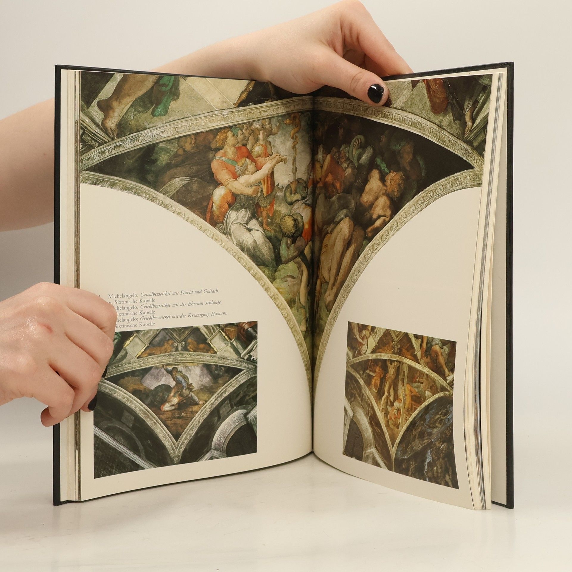 Michelangelo Buonarroti Michelangelo. Der Bildhauer. Der Maler. Der Architekt. Sein schöpferisches Leben und Werk.