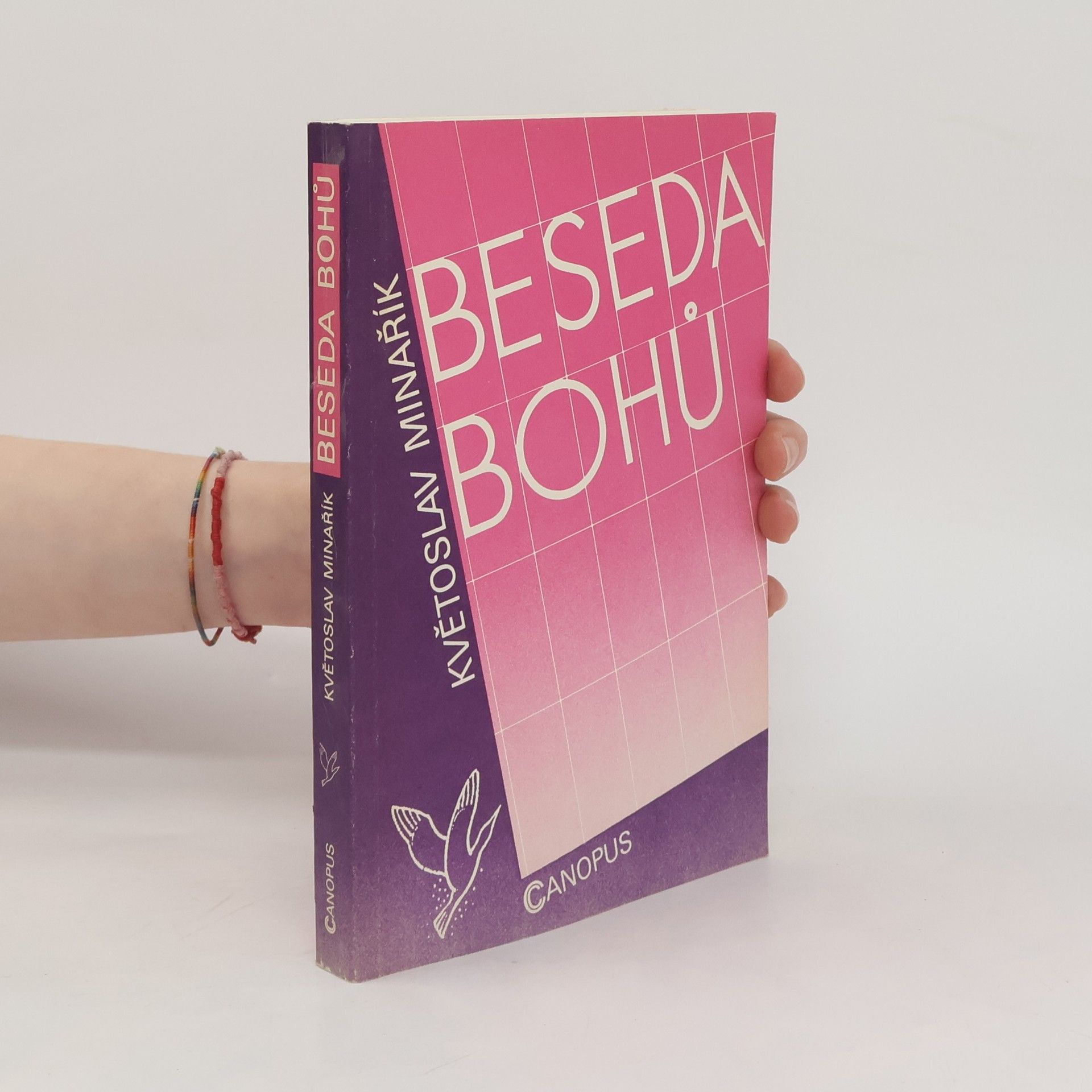Květoslav Minařík Beseda bohů