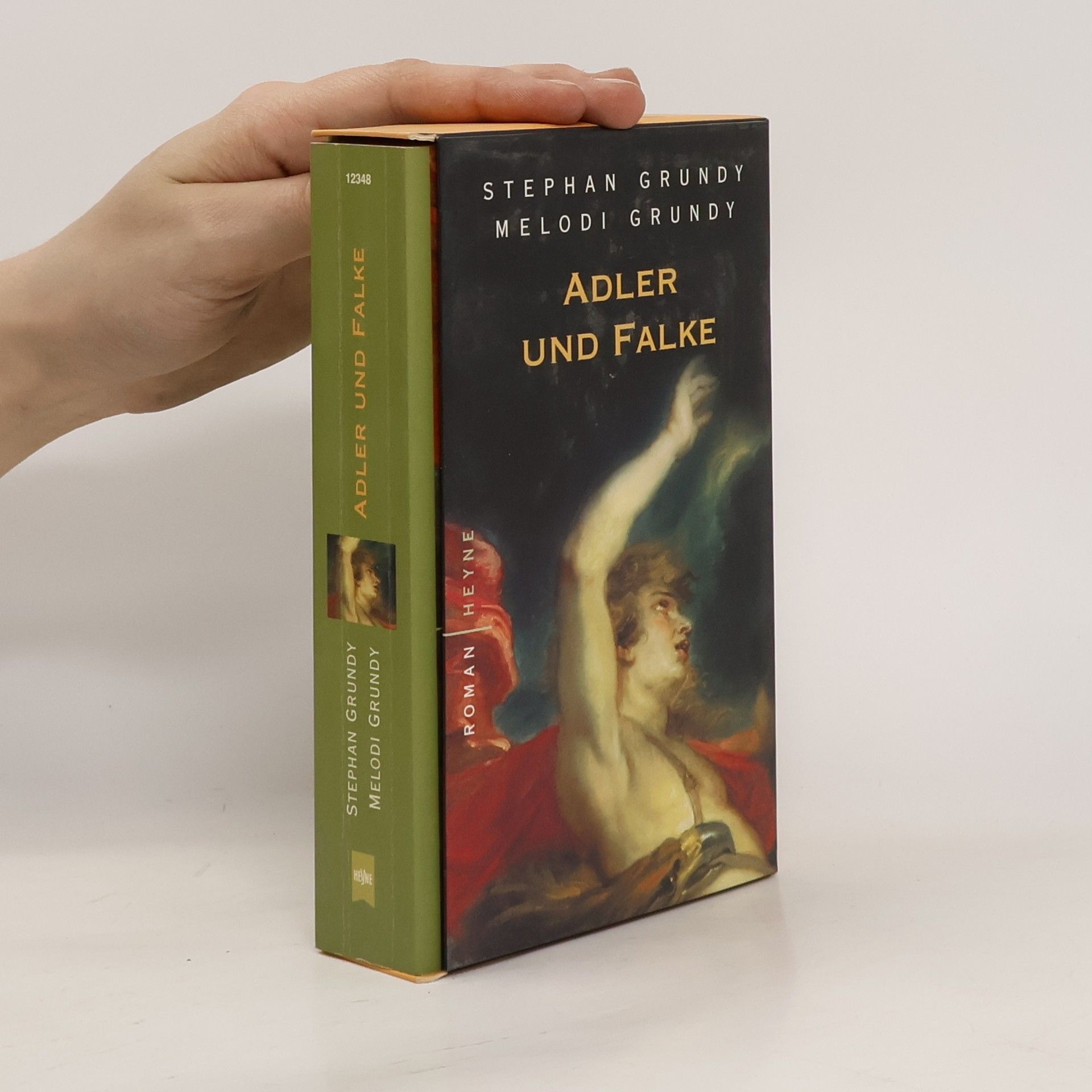 Stephan Grundy Adler und Falke