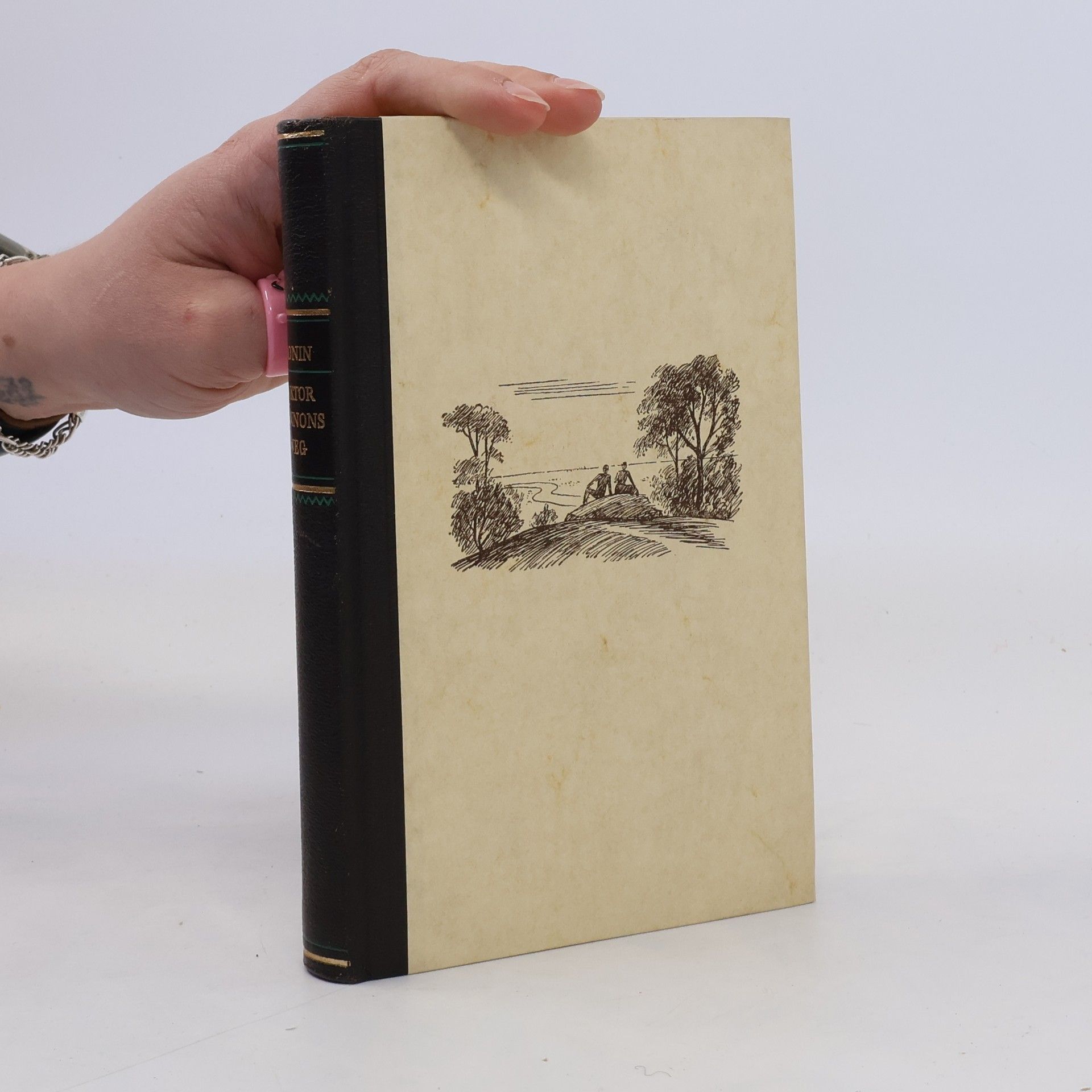 A. J. Cronin Dr. Shannons Weg
