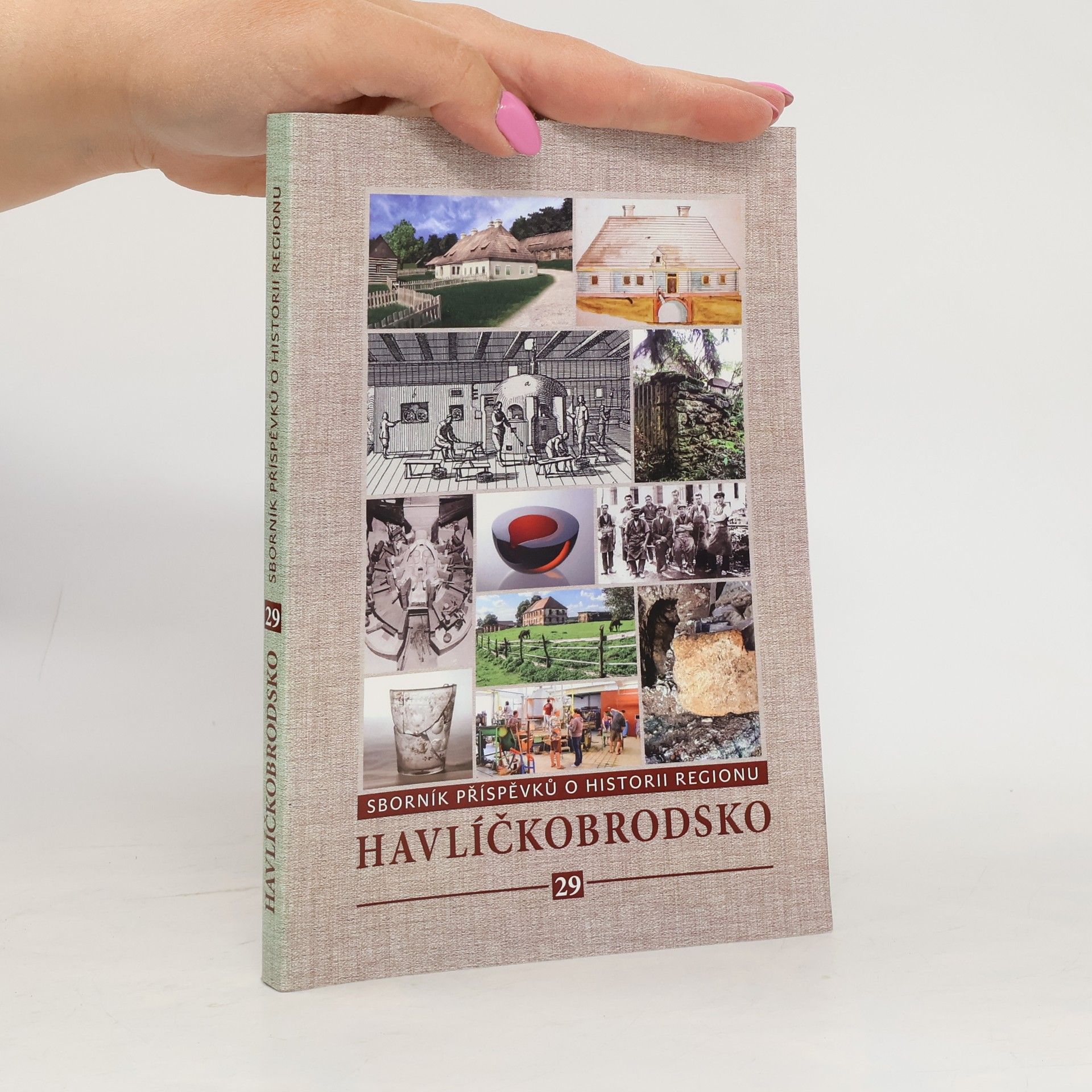 Collectif d'auteurs Havlíčkobrodsko 29