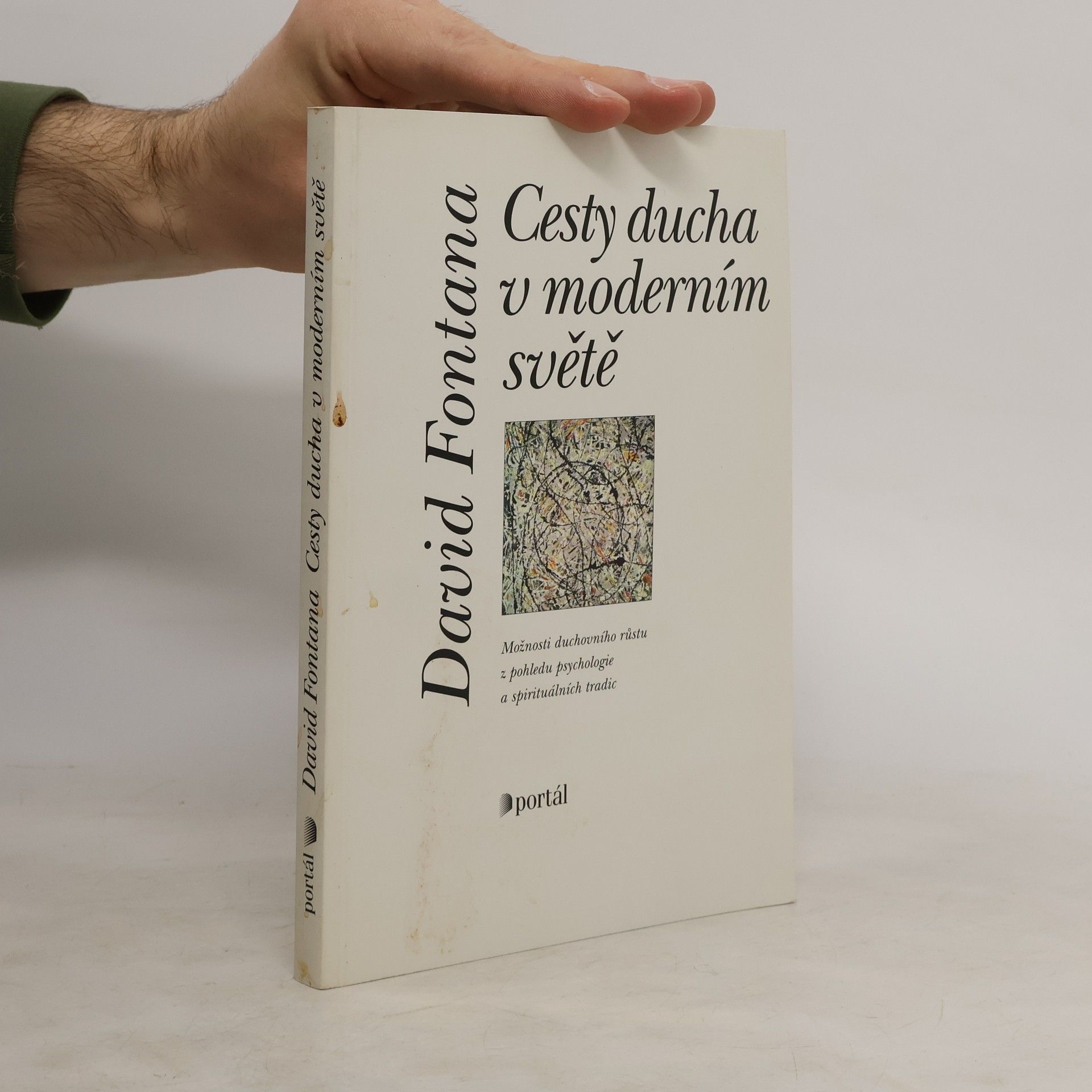 David Fontana Cesty ducha v moderním světě