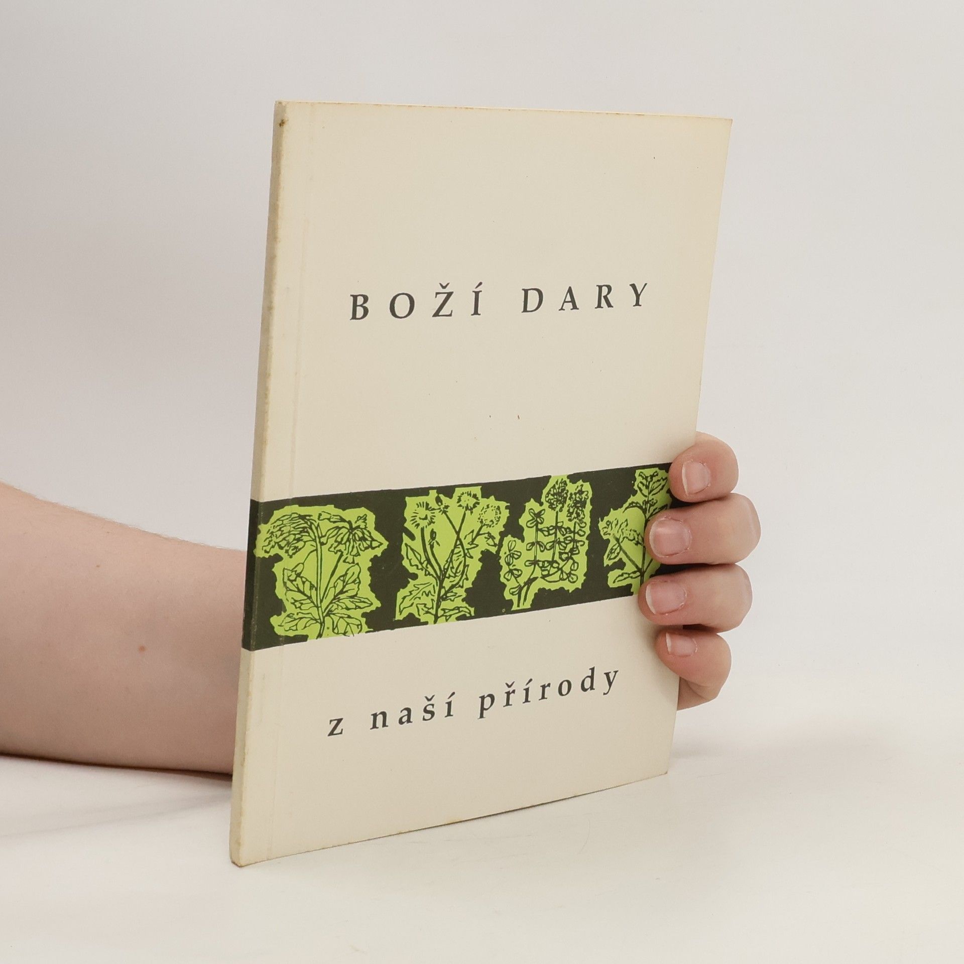 Autorenkollektiv Boží dary z naší přírody